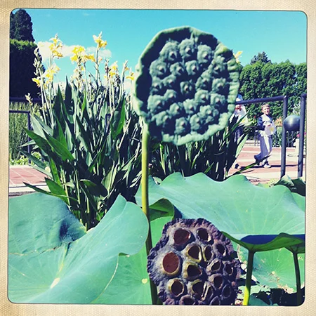 Photo #35