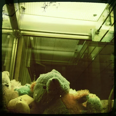 Photo #37