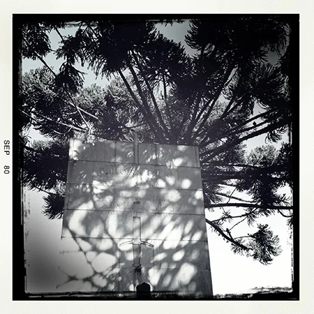 Photo #43