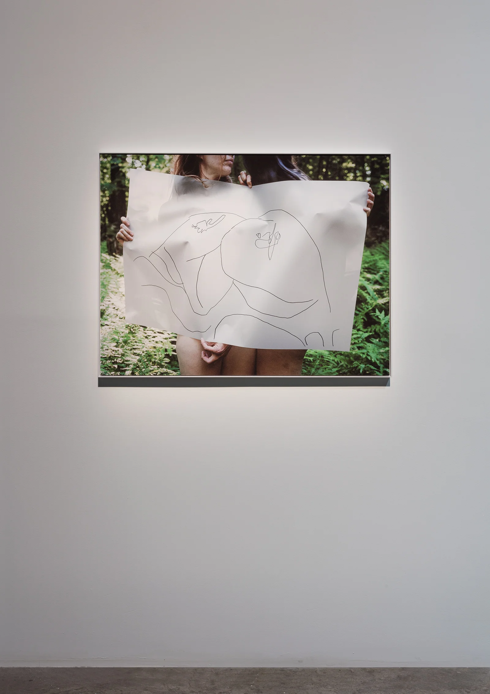 Delicatpulse_vuephoto.jpg