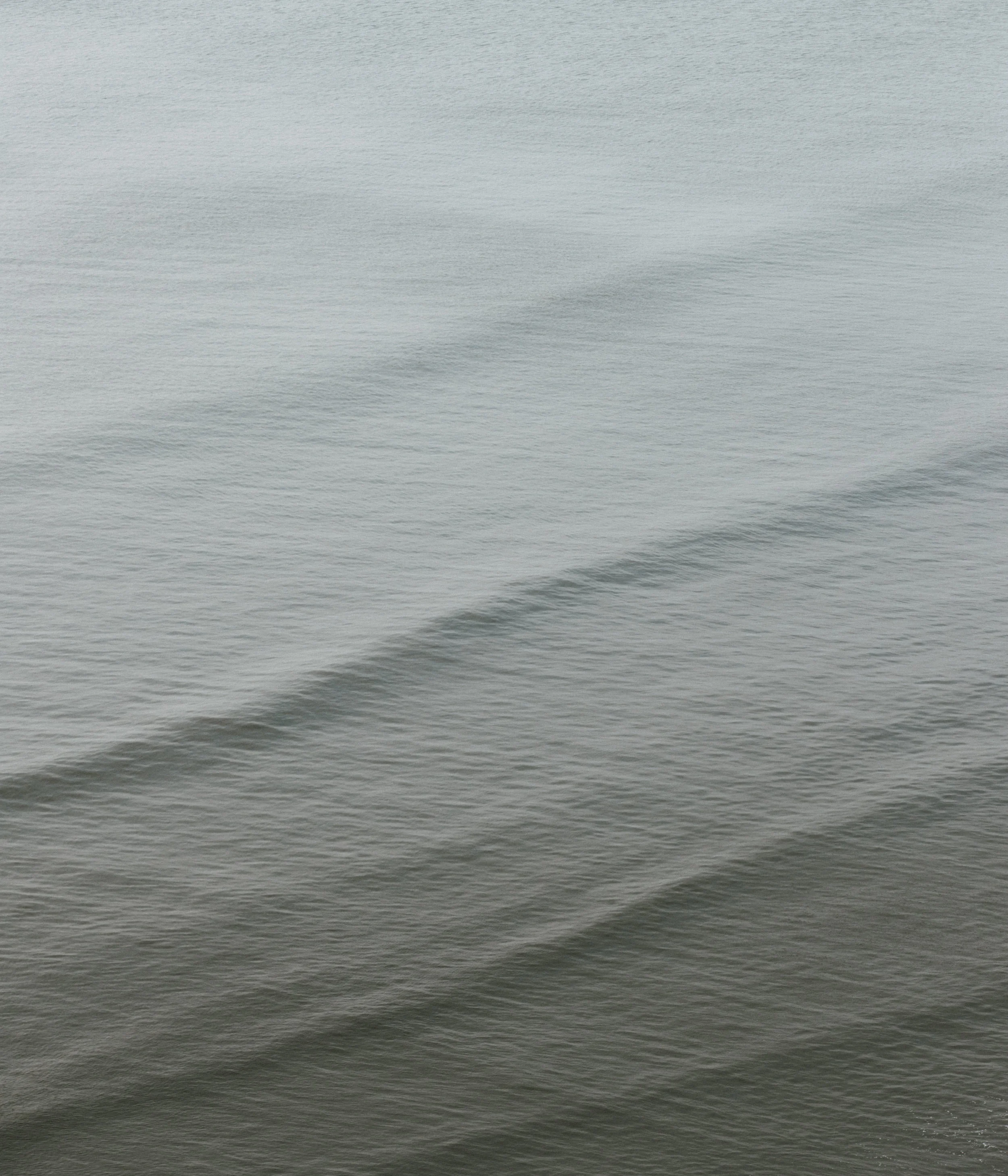 BA1I6862-2.jpg