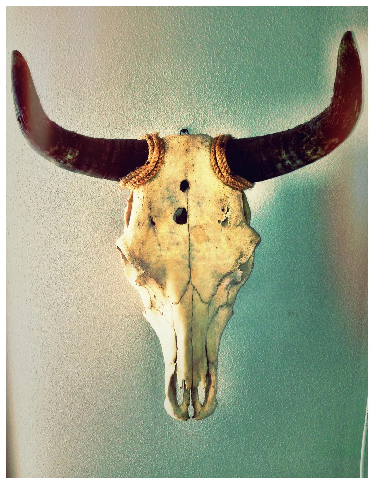 Photo Mar 02, 9 06 56 AM.jpg