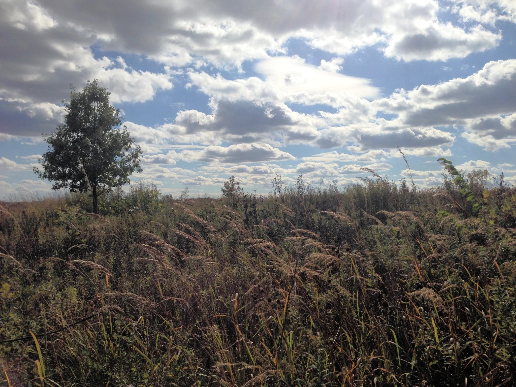 Photo Oct 07, 3 27 59 PM.jpg