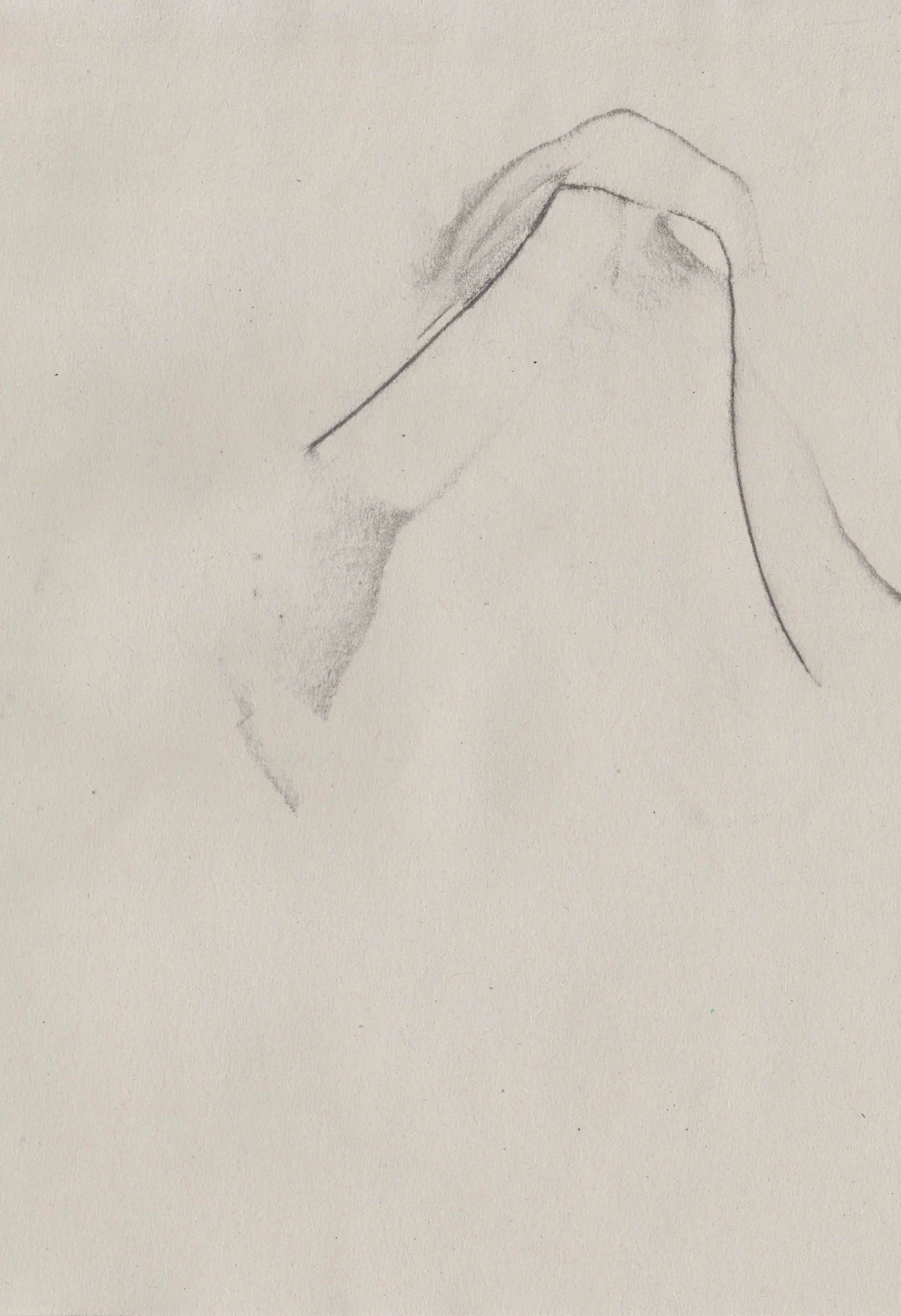 Graphite rubbing drawing on paper // Feb 2018