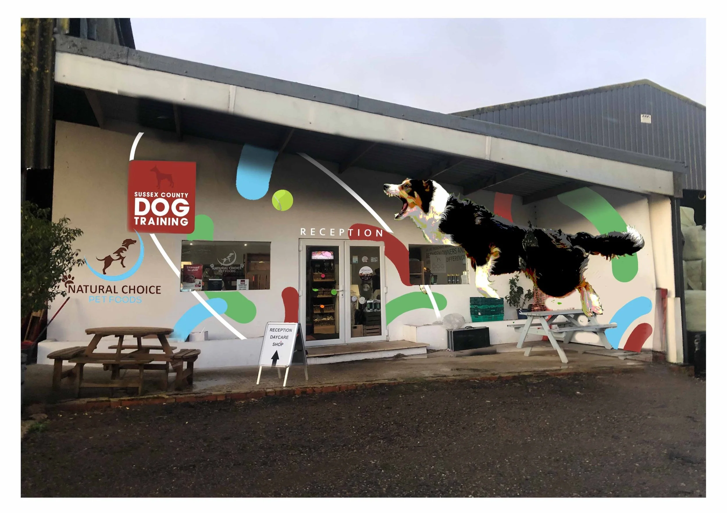 jeff dog traing chichester draft 1 .jpeg