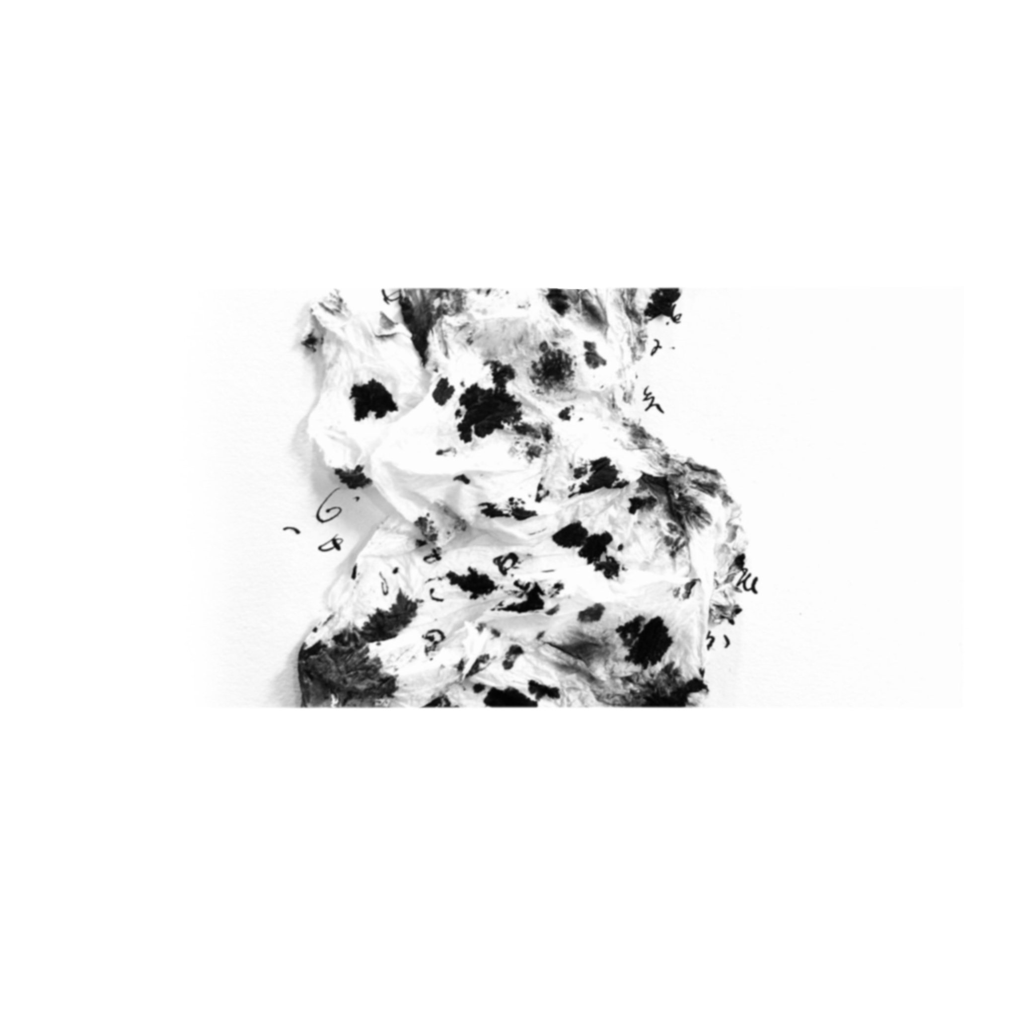 IMG_0141.jpeg
