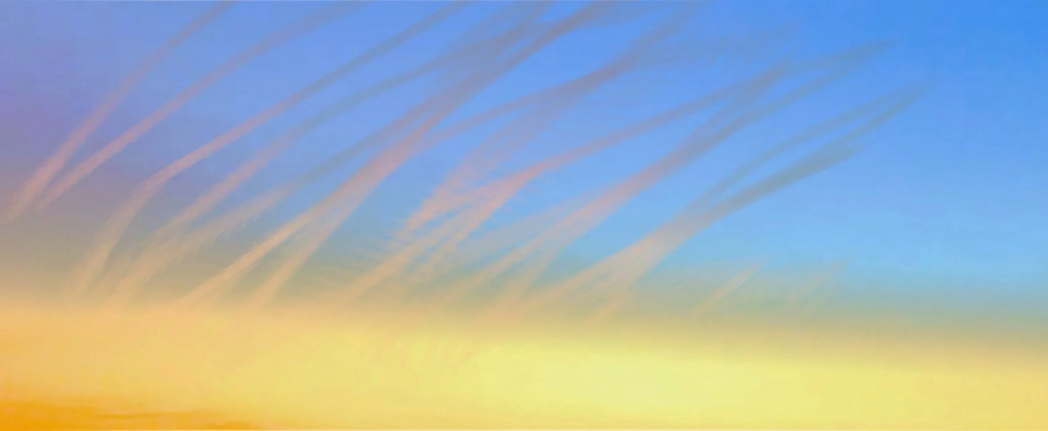 Untitled_Artwork 1.jpg