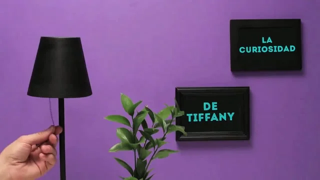 La Curiosidad de Tiffany #h2i 2016