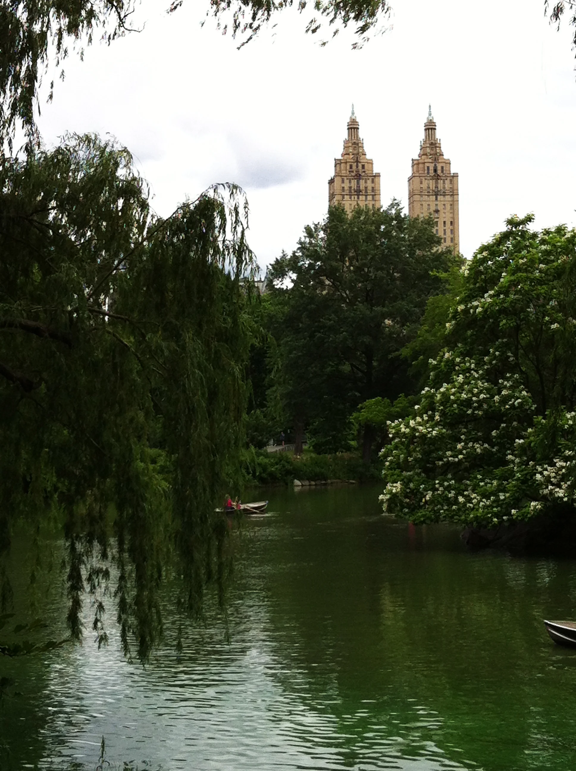 Ryan Williams - Central Park 1