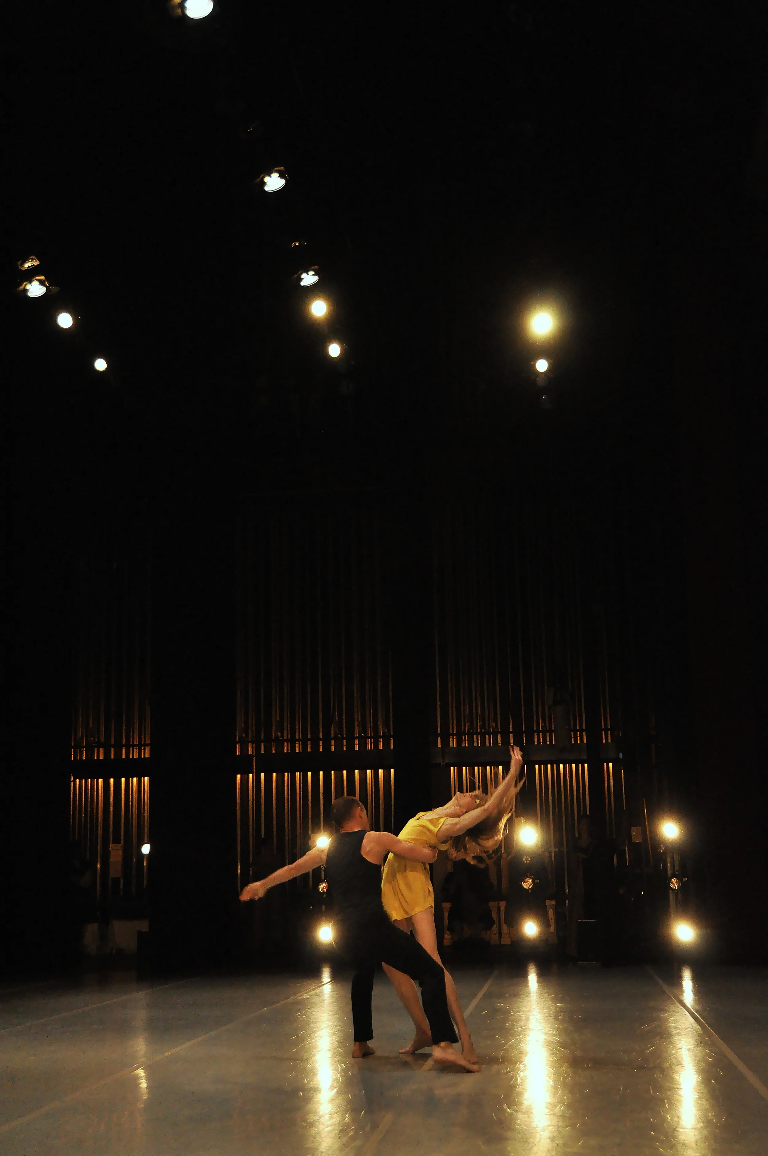 Ryan Williams - Restless Creature 2