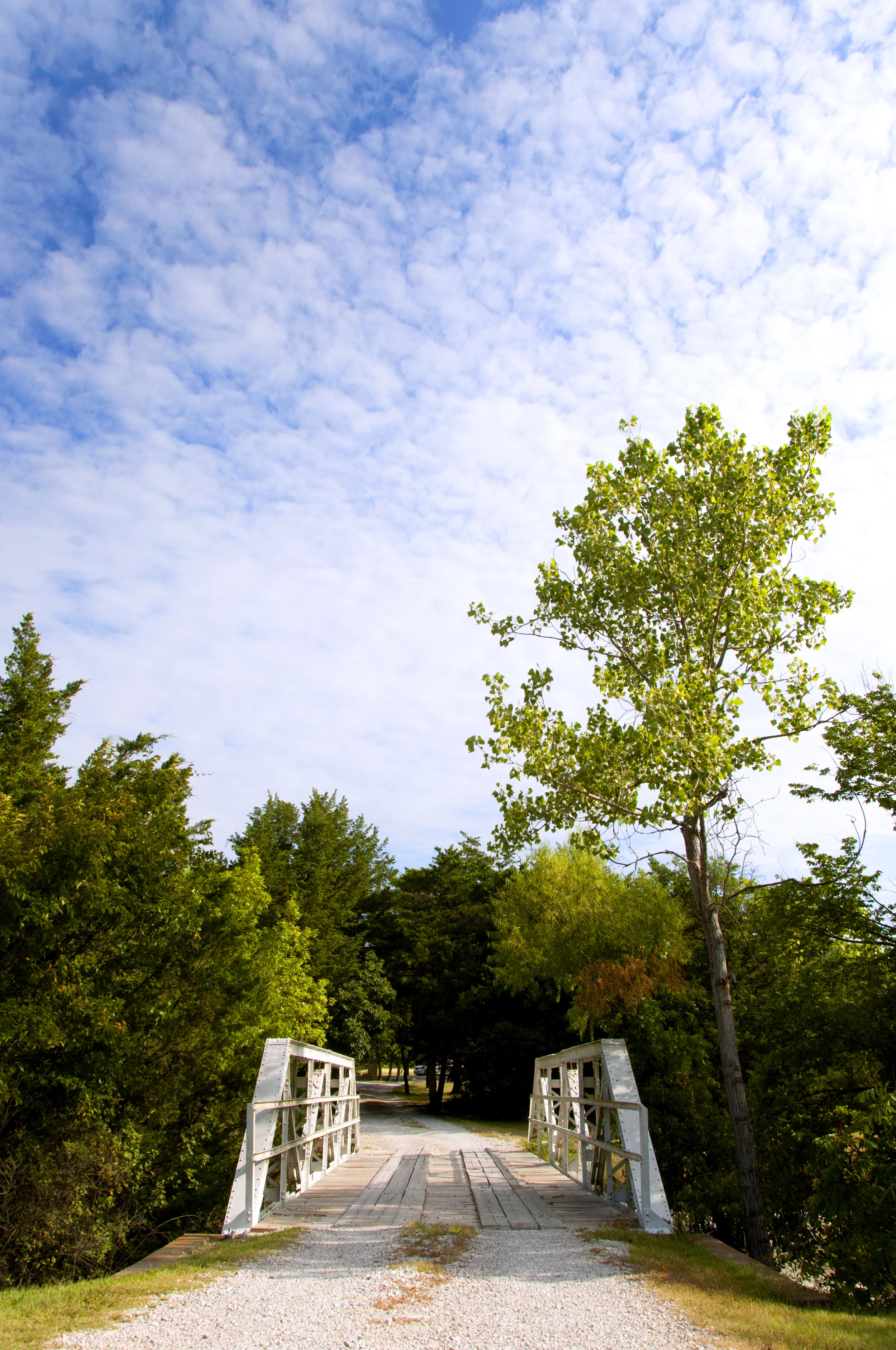 _DSC0029-2 copy.jpg