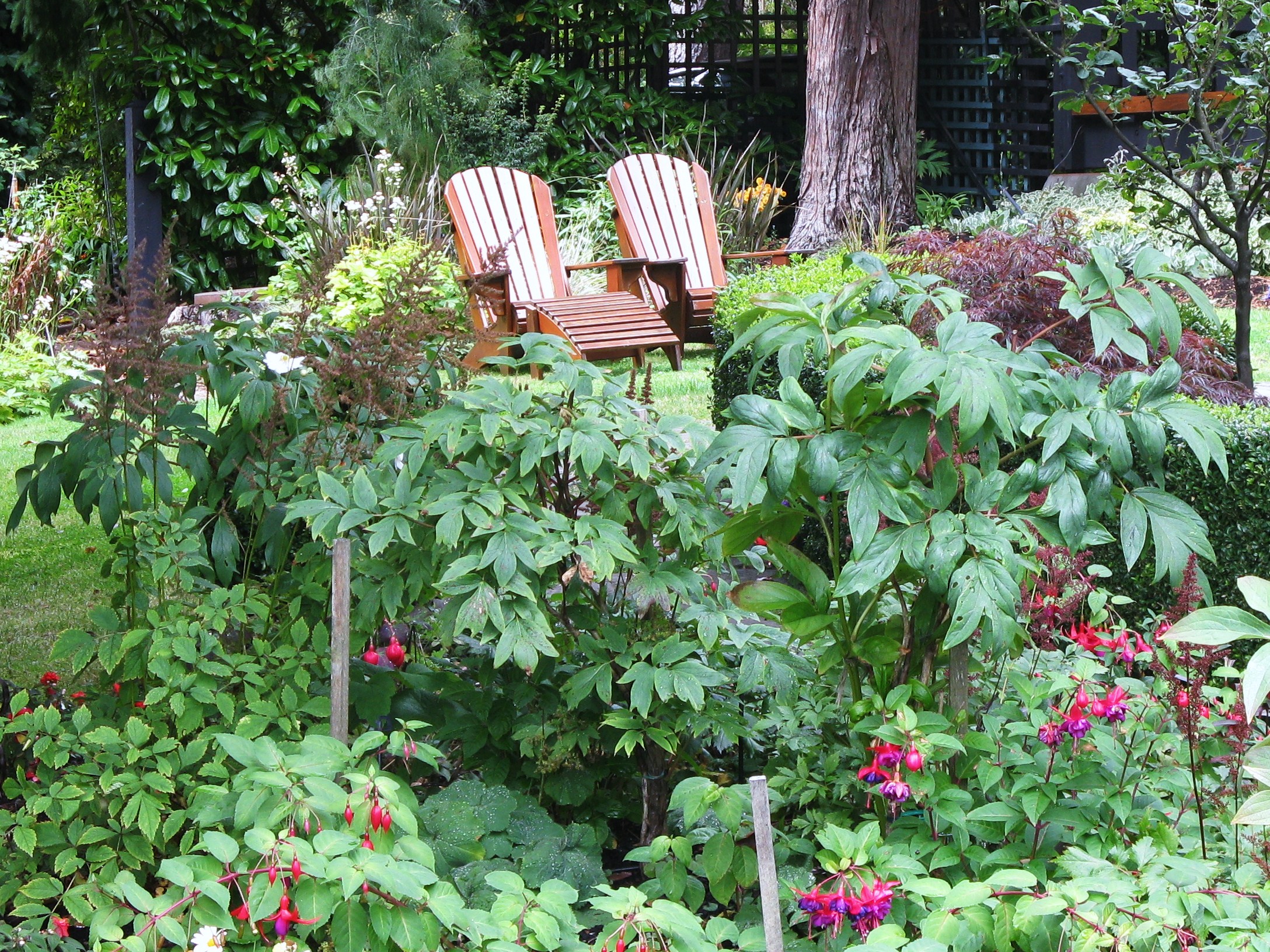 lawn chairs and woodland garden