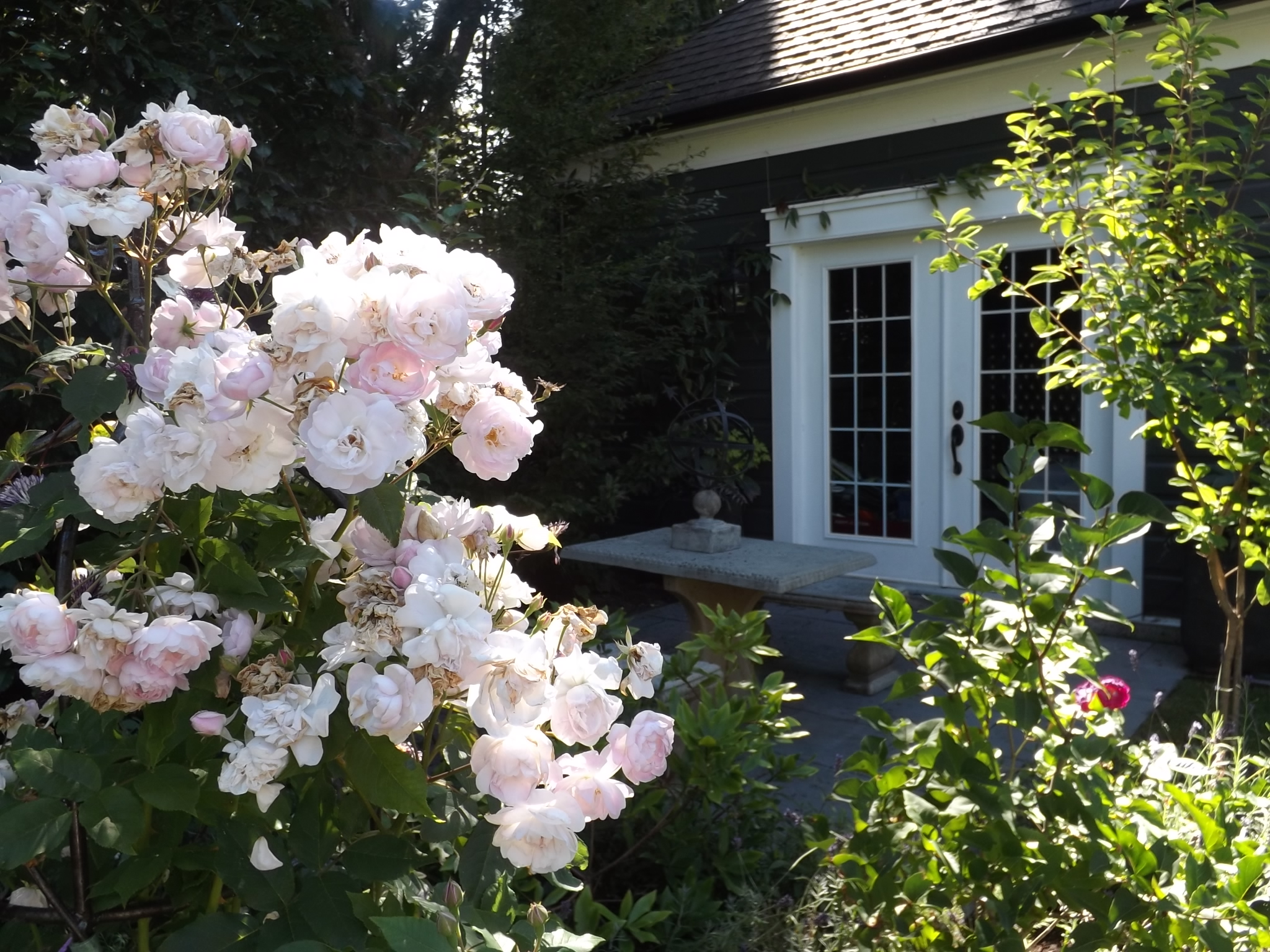 Roses outside a playhouse