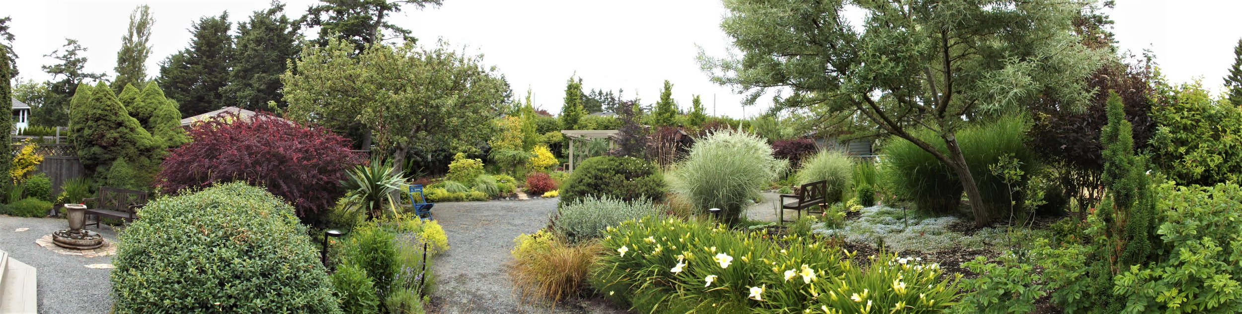 landscape with plants and deck