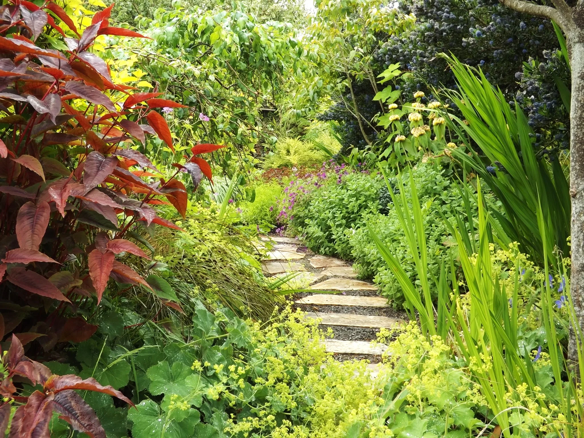 flagstone path.jpg