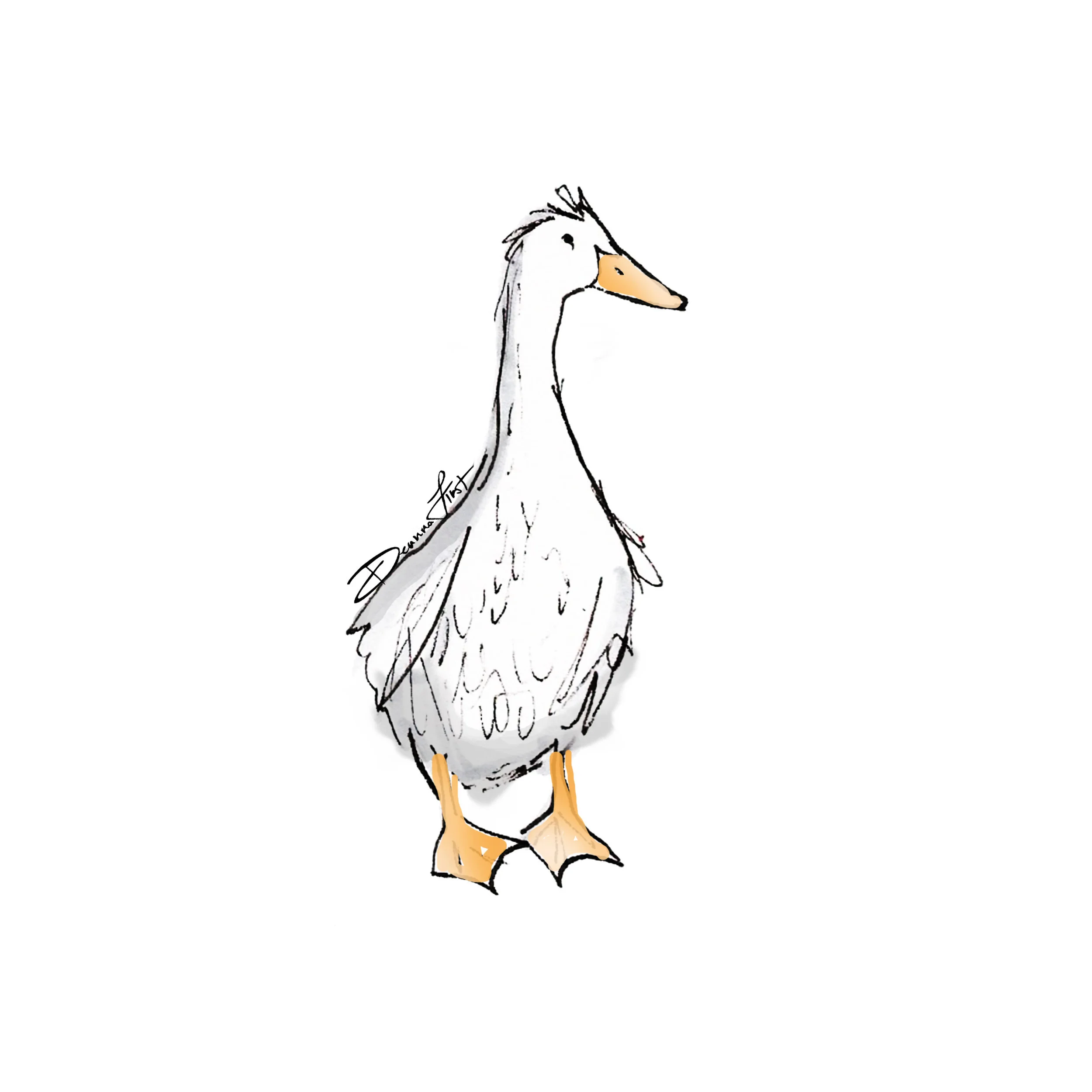 duck 2_Deanna First.jpg