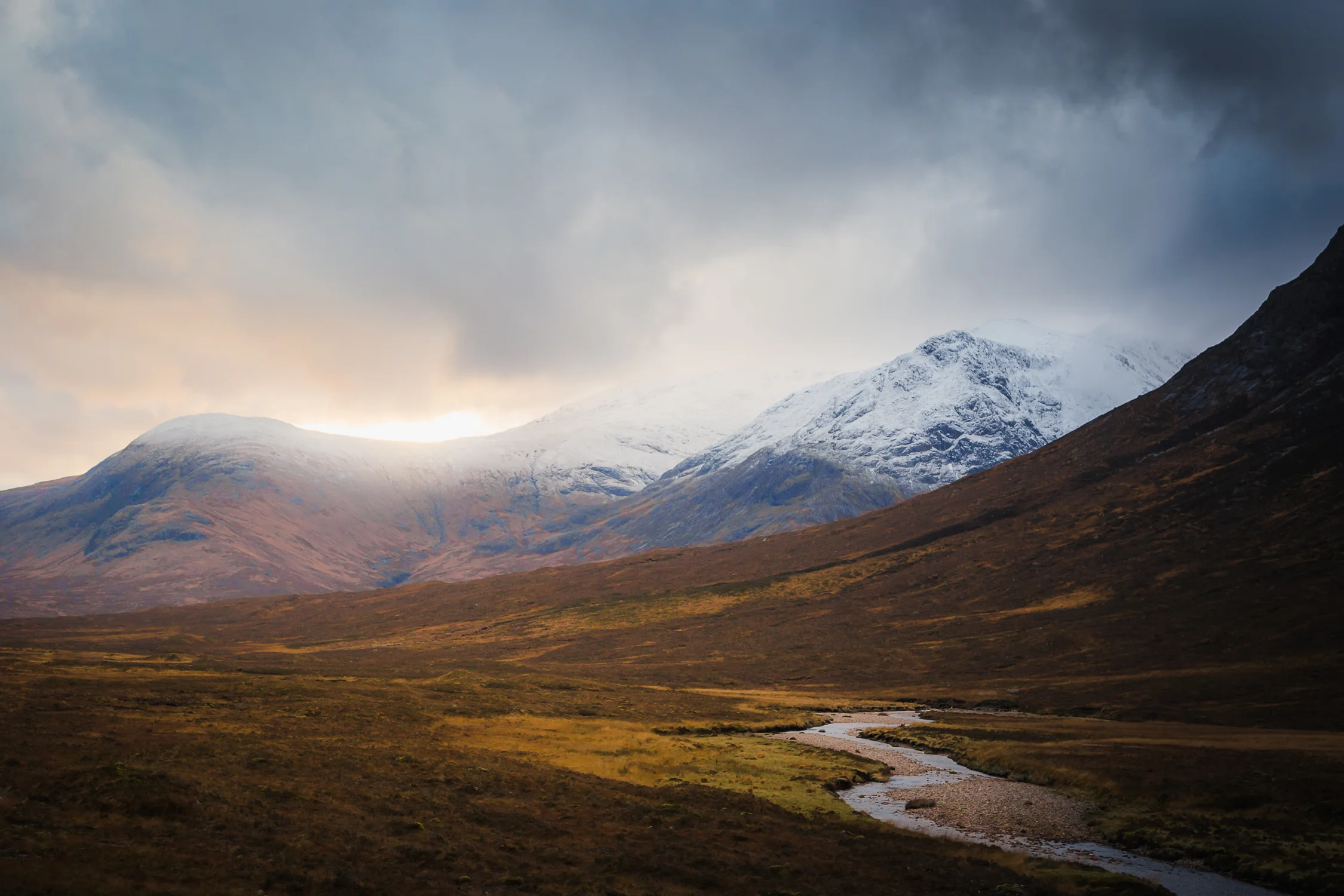 Scotland website-80.jpg