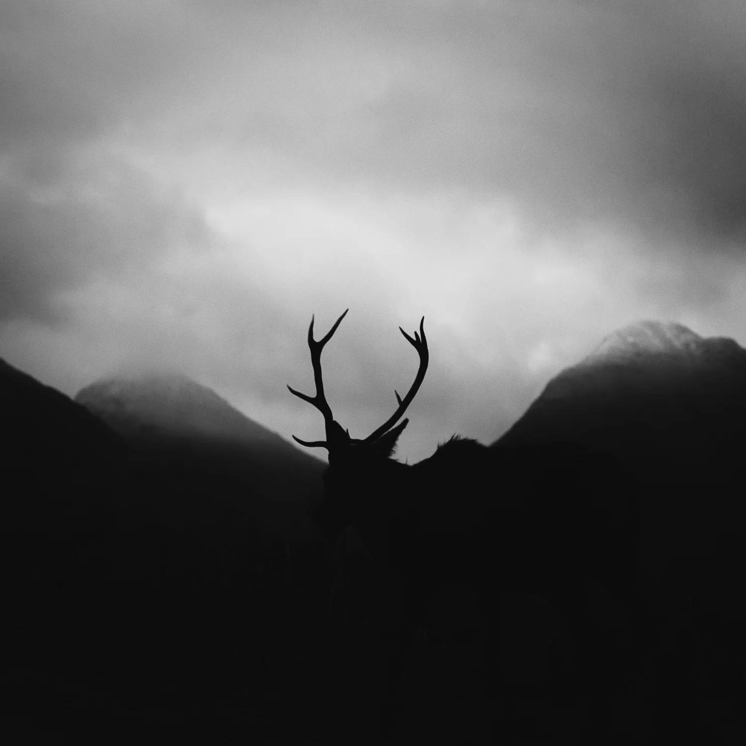 Scotland website-71.jpg
