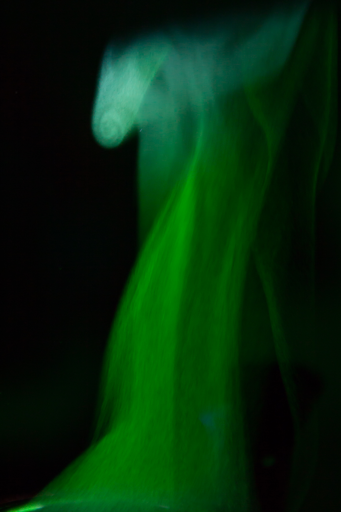 light_7.jpg