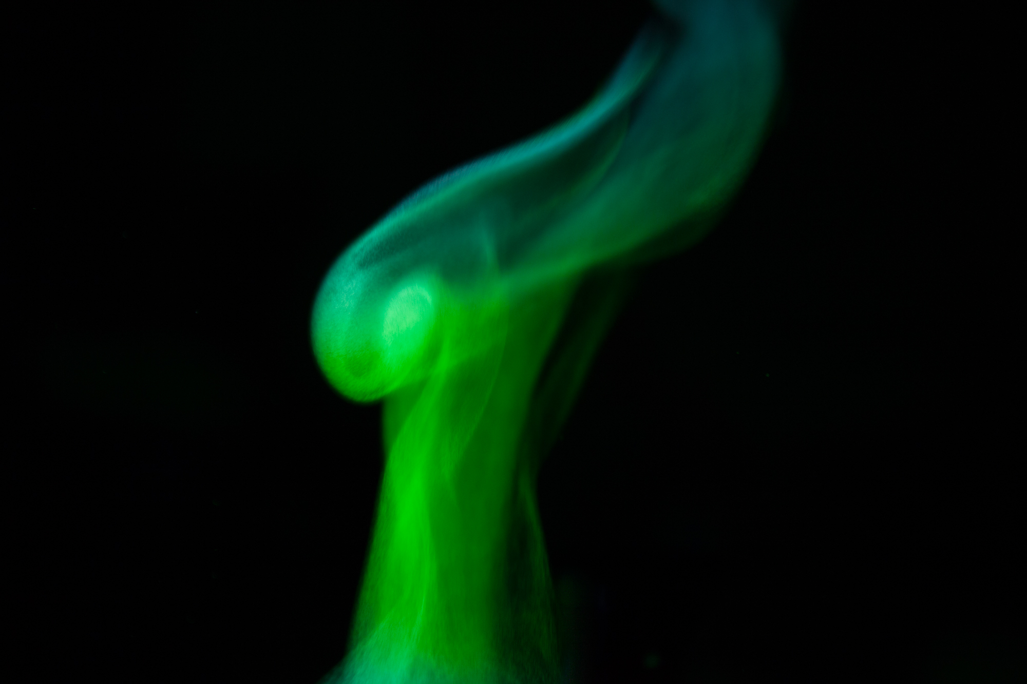 light_9.jpg