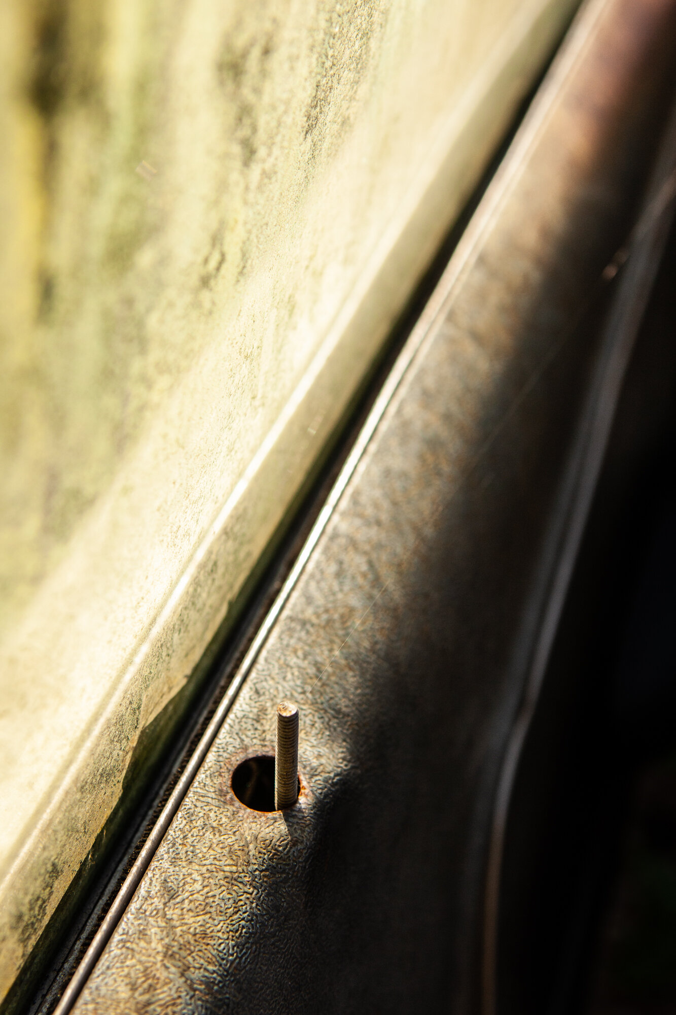 _MG_5358.jpg