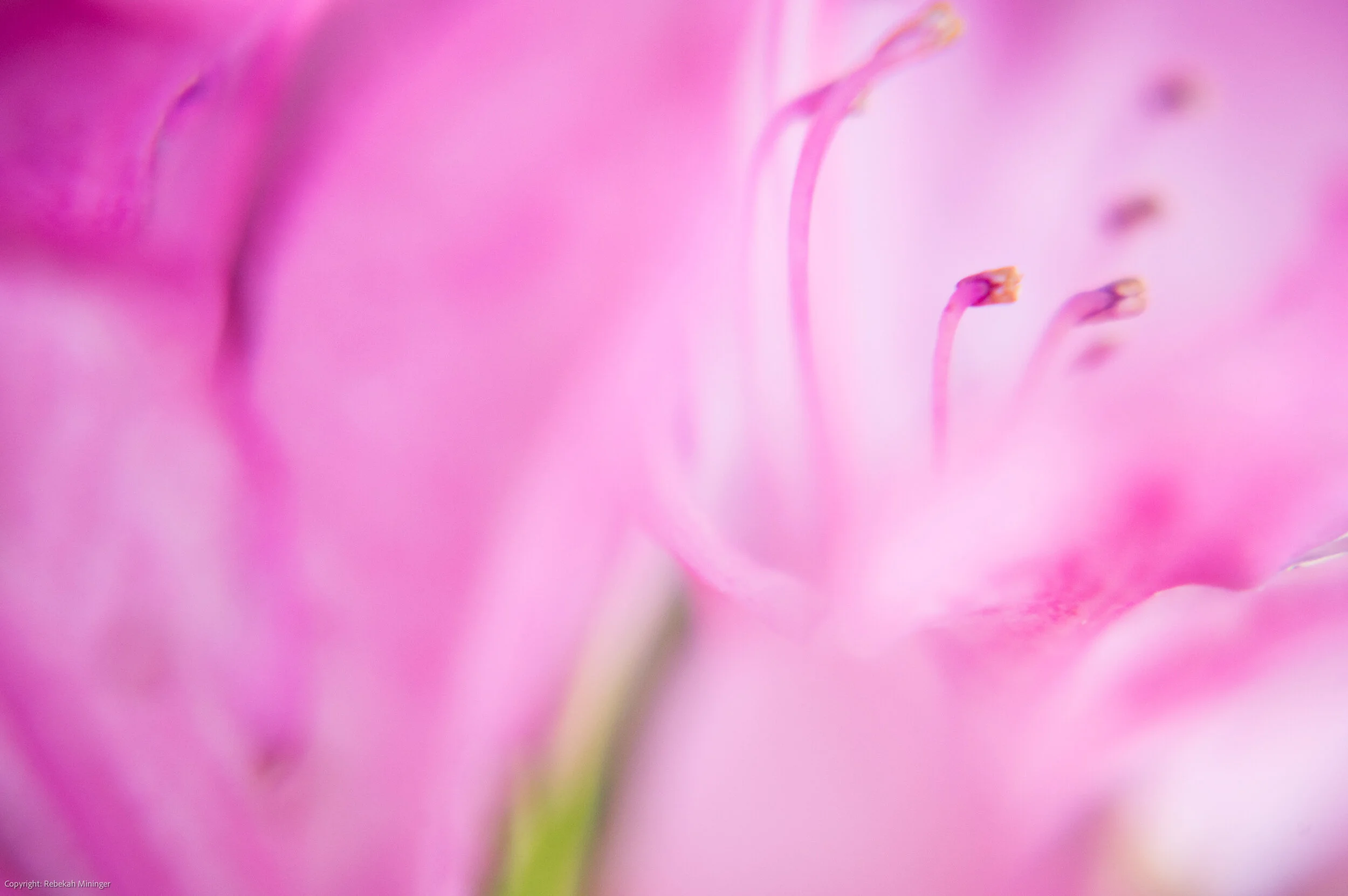20210505flora56.jpg