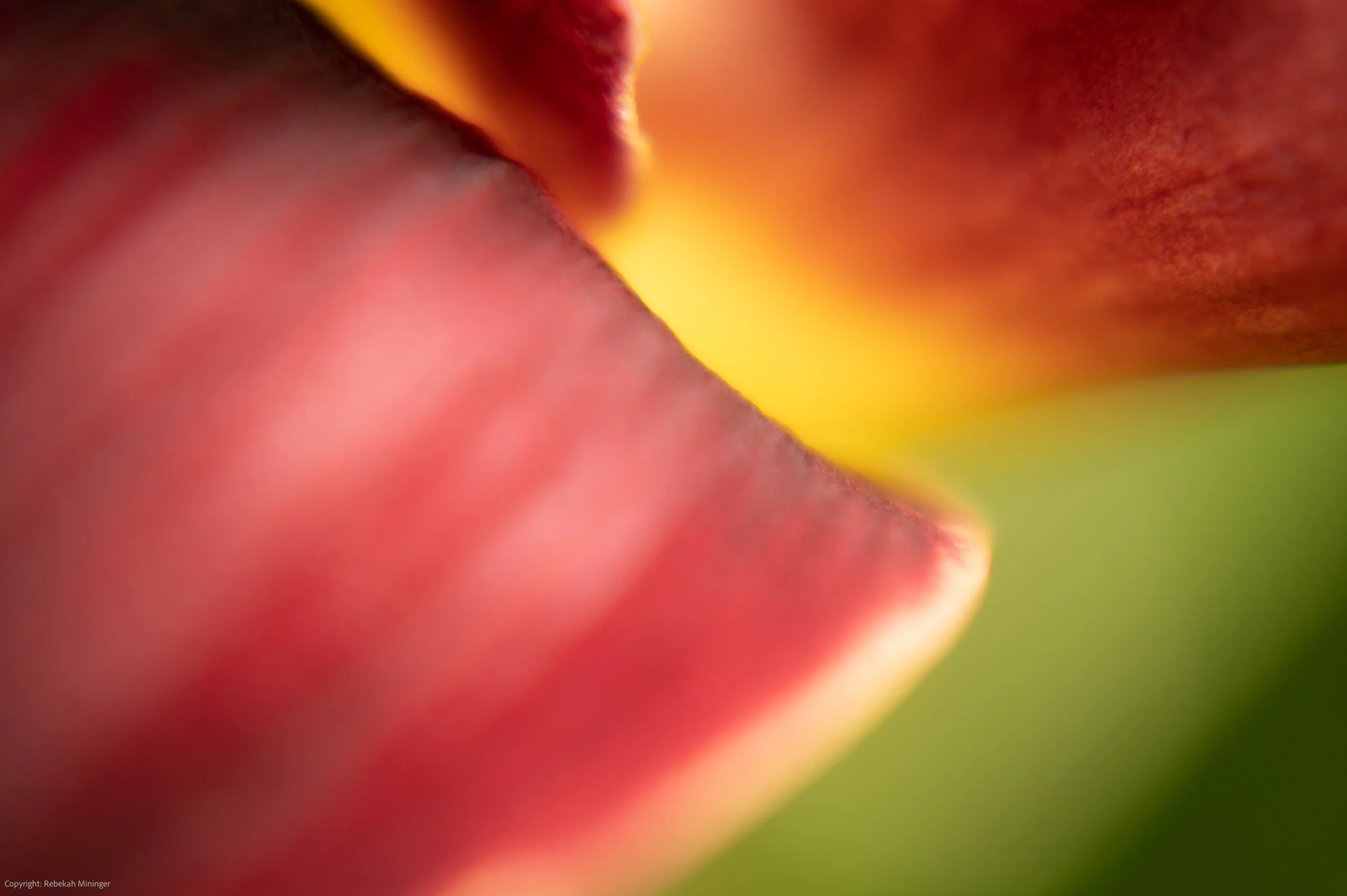 DSC_4108.jpg