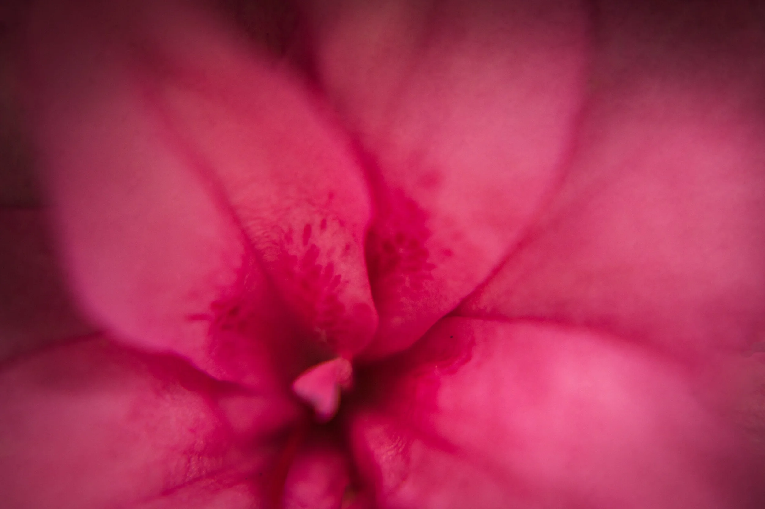 DSC_3885-Edit.jpg