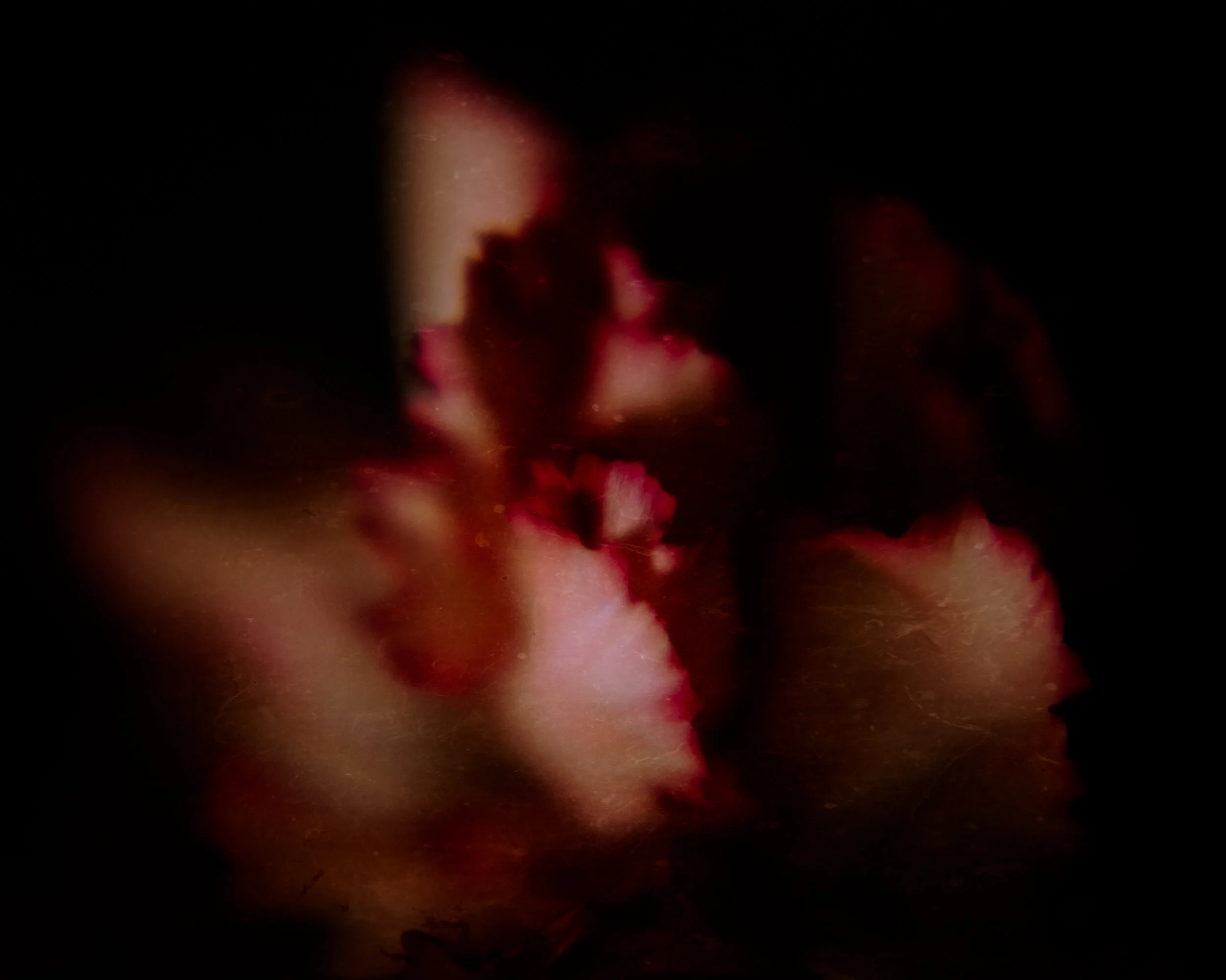 DSC_3776-Edit.jpg