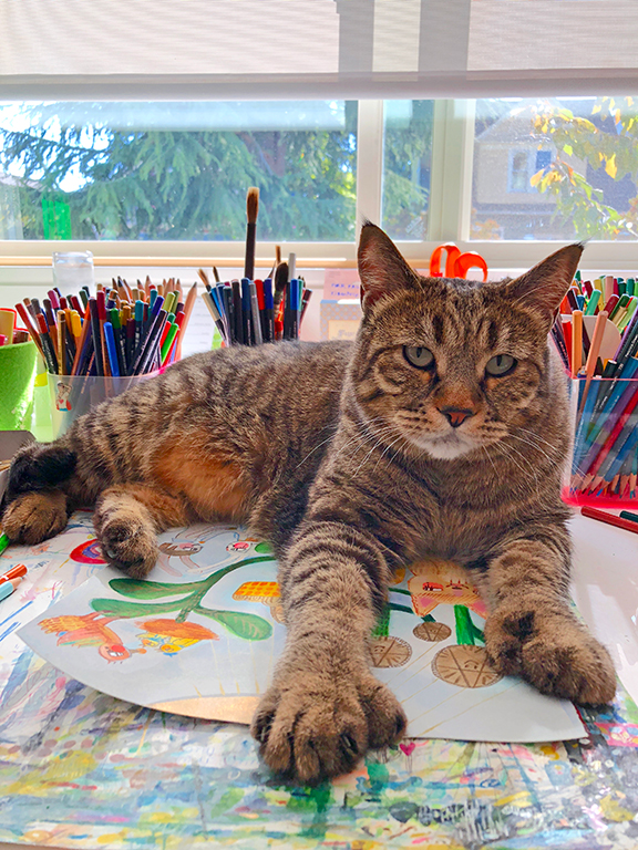 Mazsi is our senior intern and office helper.