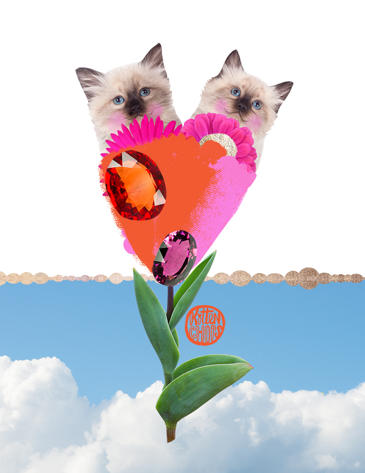 Kitten-flower.jpg