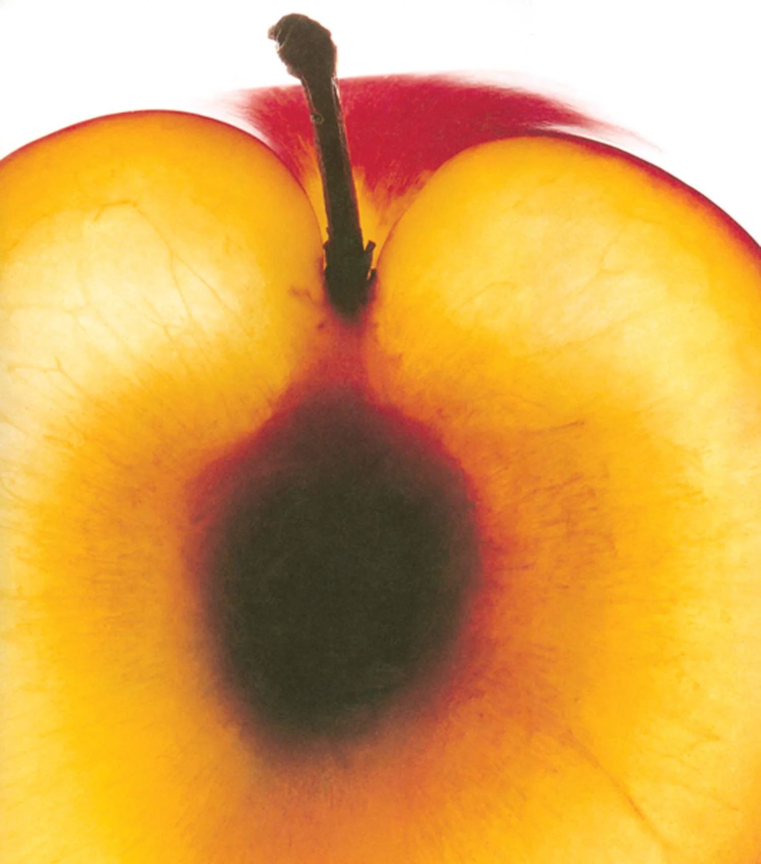 peach.jpg