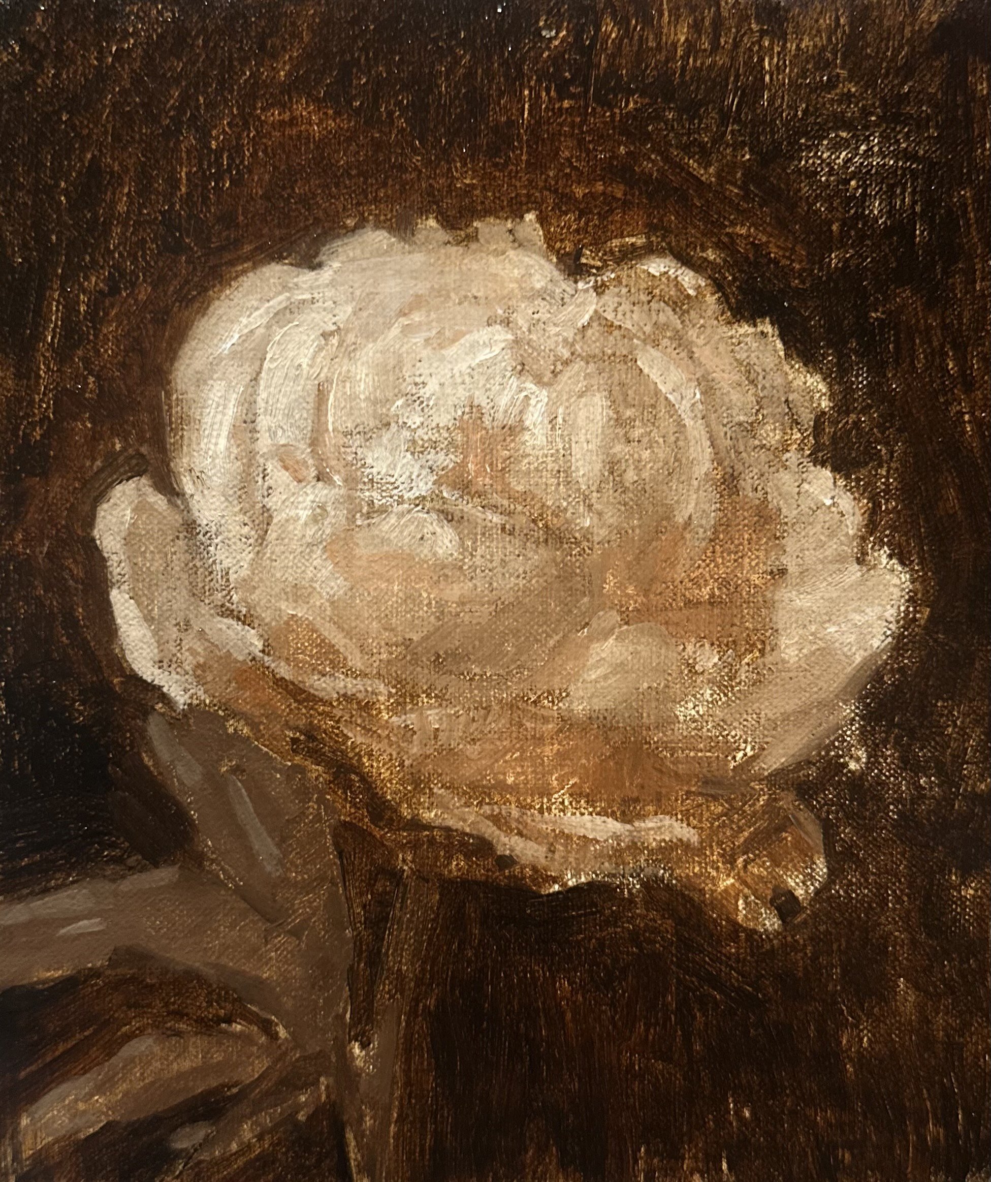 Floral Study in Oil 3 by Lara Saunders