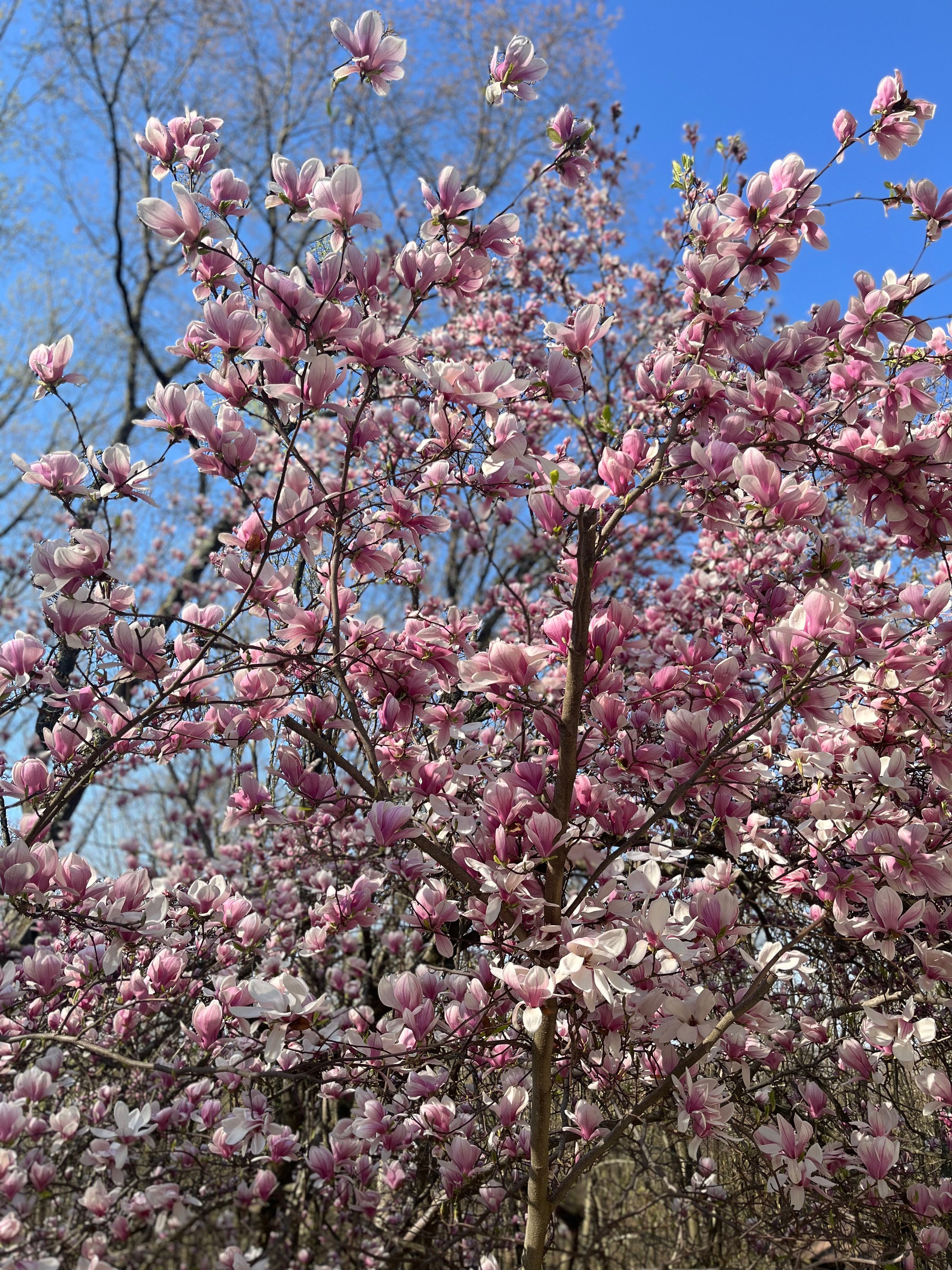 IMG_8002.jpeg
