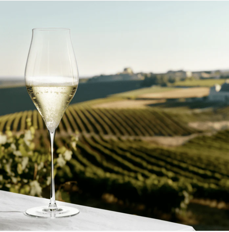 Screenshot 2025-11-24 at 12.59.58 PM.png