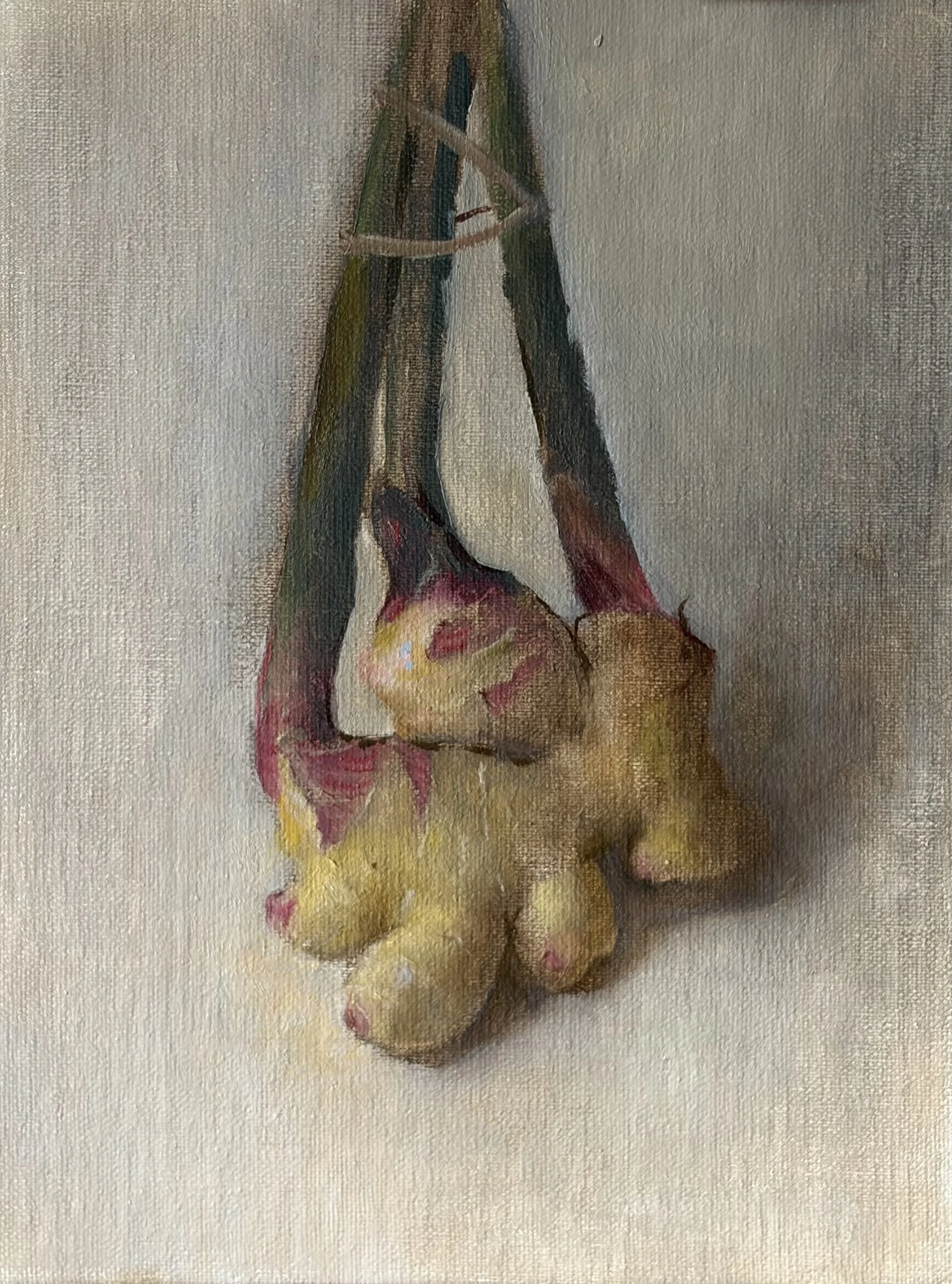 Ginger Still Life by Janice Barnes