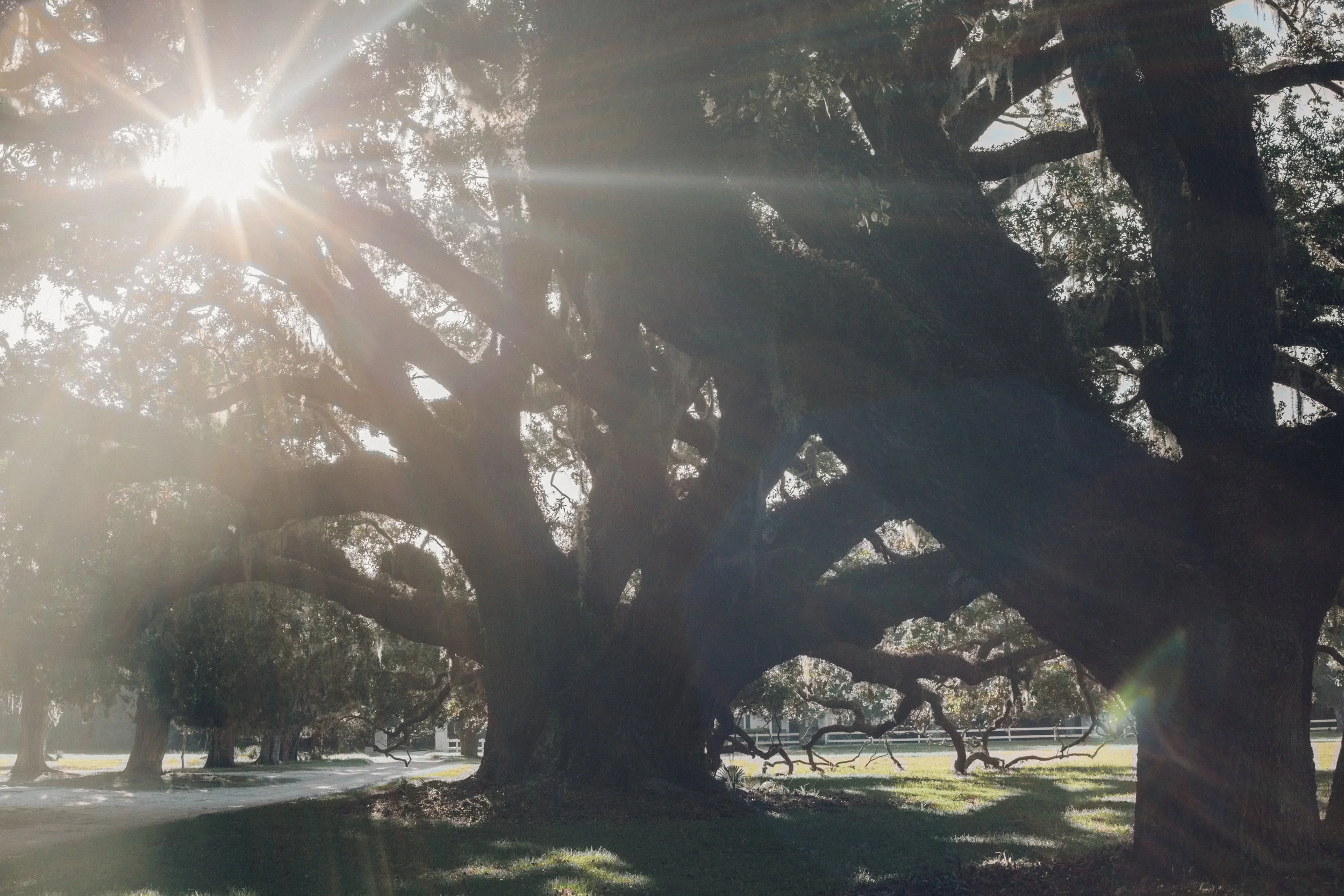 Travel Photographer portland maine