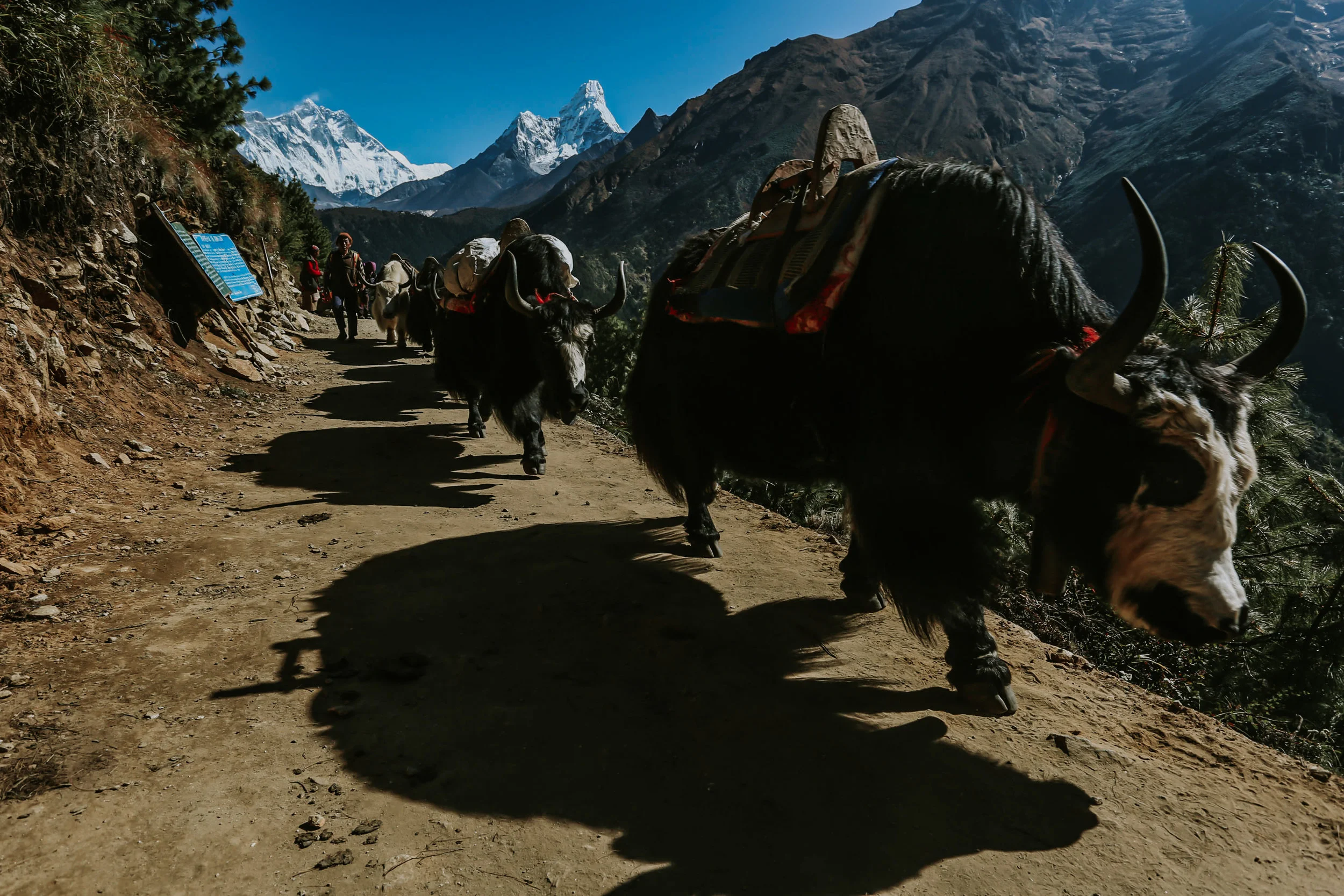 Nepal-017.jpg