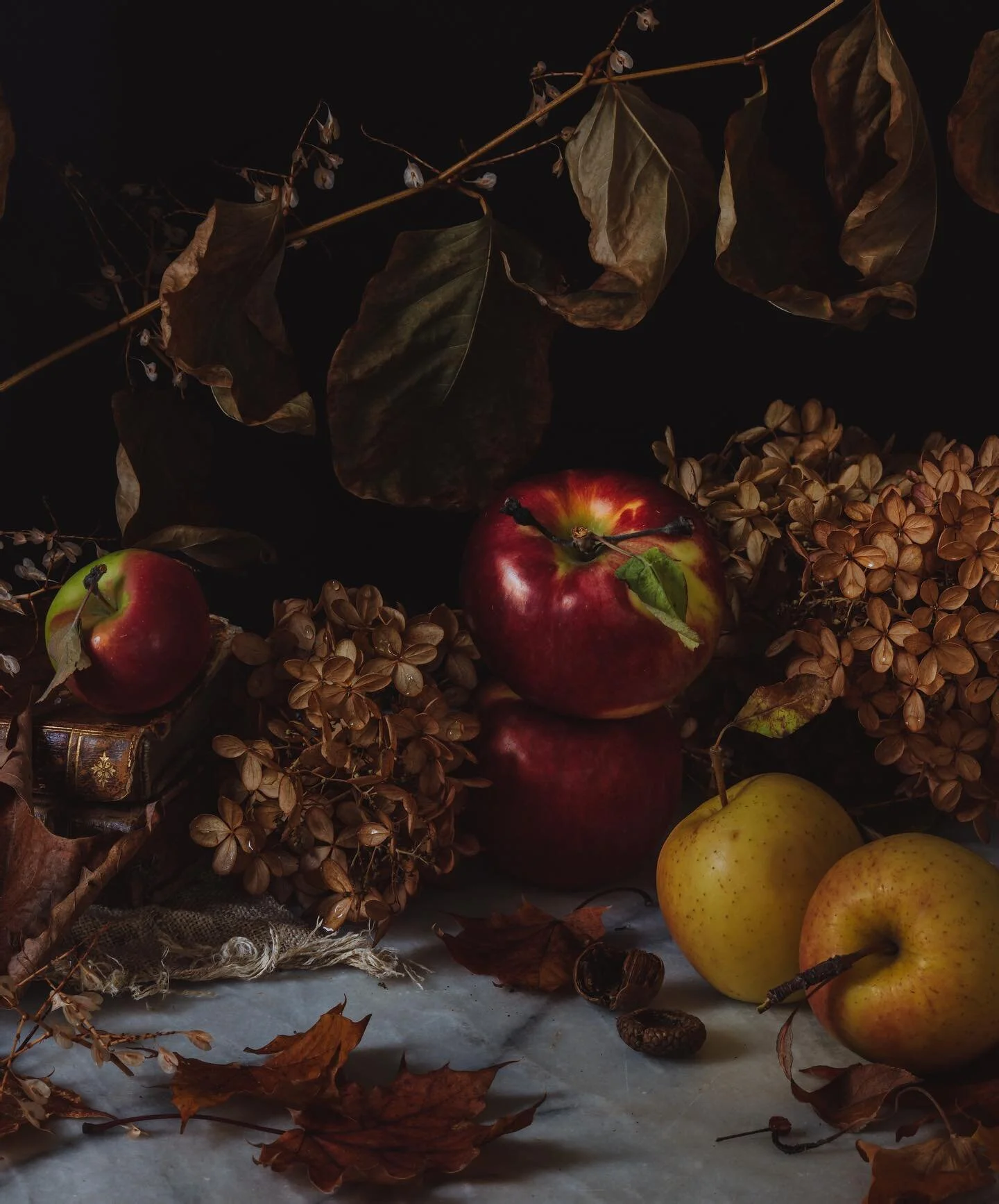 #fallinmaine part II. Apples from @jordans_farm 🍎 .
.
.
.
.
.
.
.#maine #isolationcreationpartdeux #portland #fall #apple