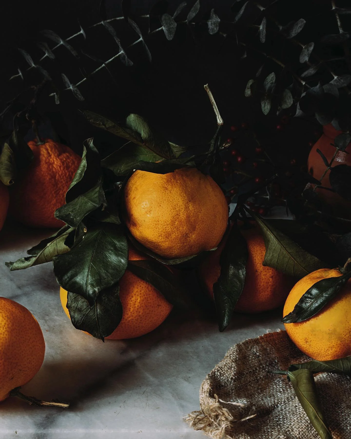 #stilllife with oranges from @rosemontmarket .
.
.
.
.
.
.
.#oranges #isolationcreationpartdeux #portland #maine