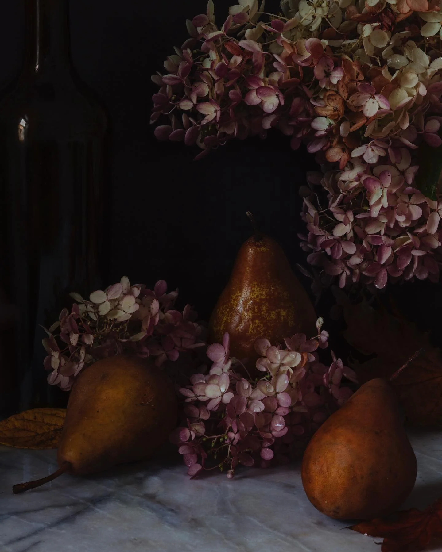 #fall in #maine. #portland #isolationcreationpartdeux