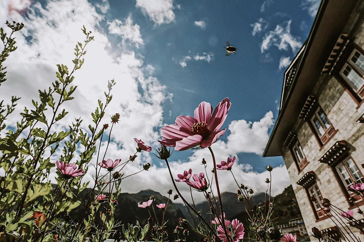 Namche Bazar, one of the hardest hikes I&rsquo;ve ever completed in my life. The hike itself isn&rsquo;t that long, it&rsquo;s the fast elevation change that will get you. Taken way back before the bambino. #nepal #travel