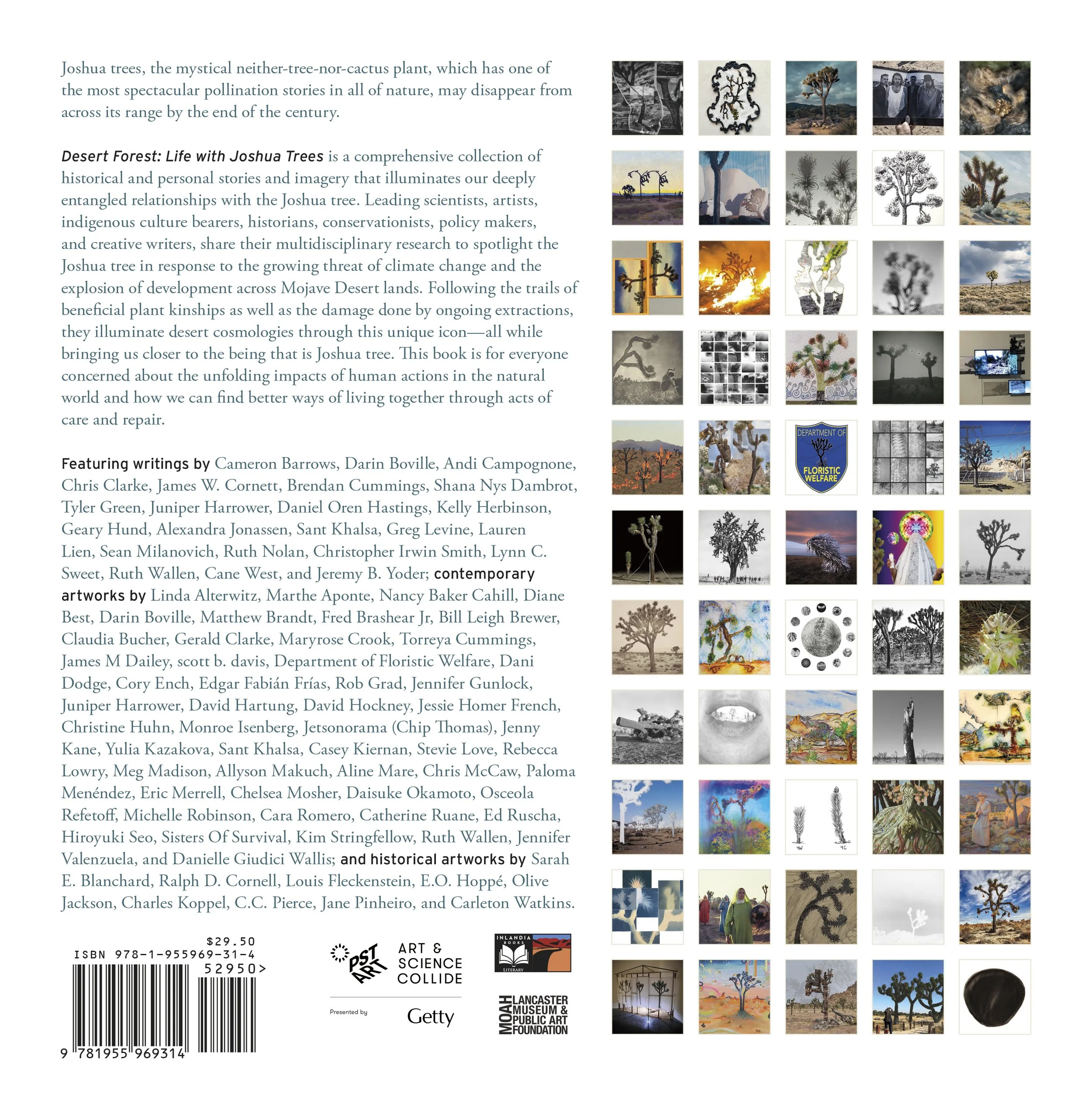 Desert Forest - Back Cover