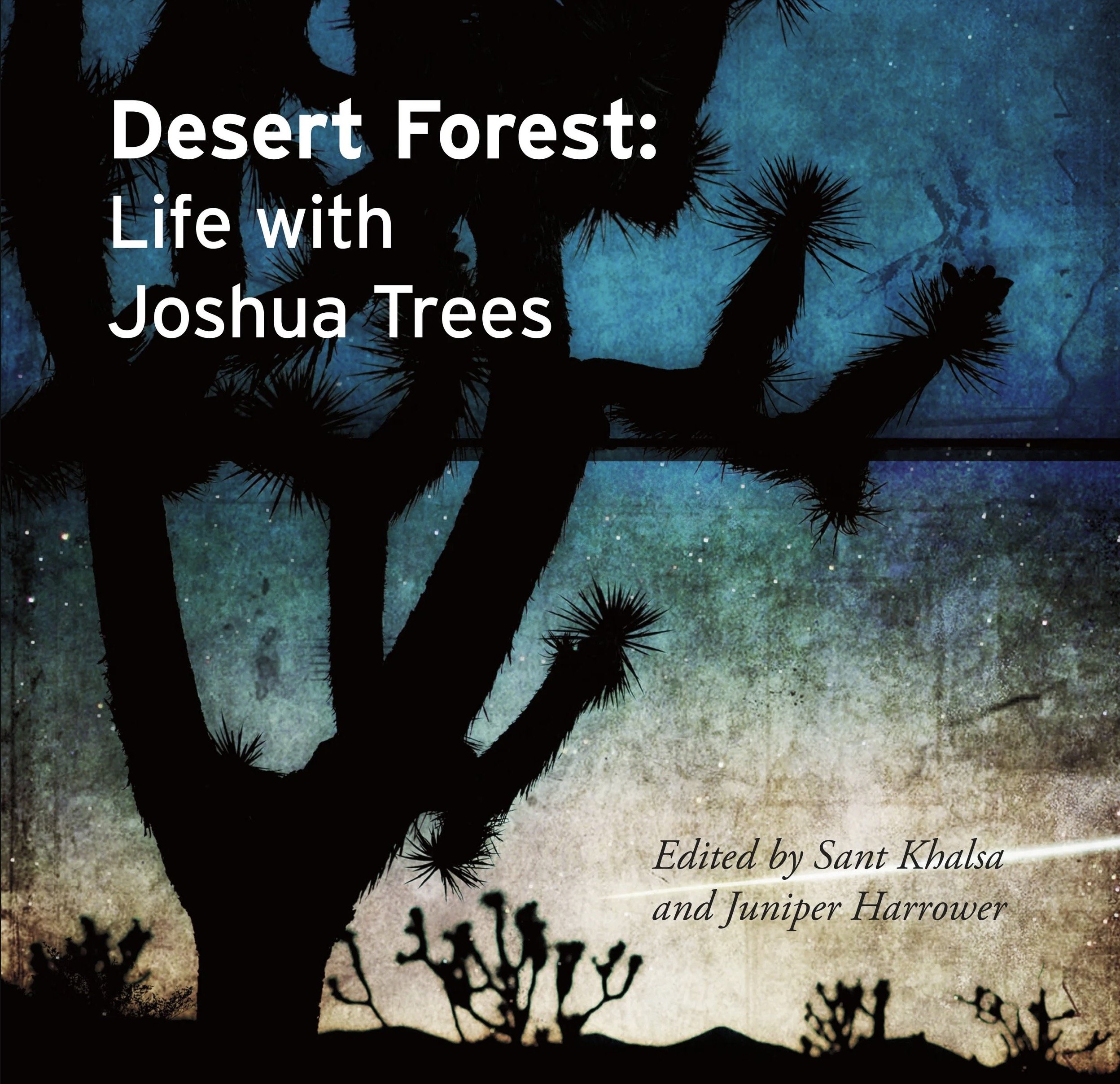 Desert Forest 
