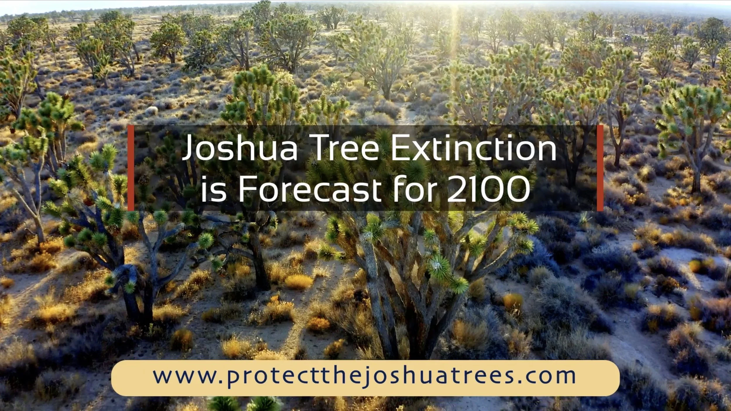 Screenshot 2026-03-13 at 10.07.45 AM.jpg