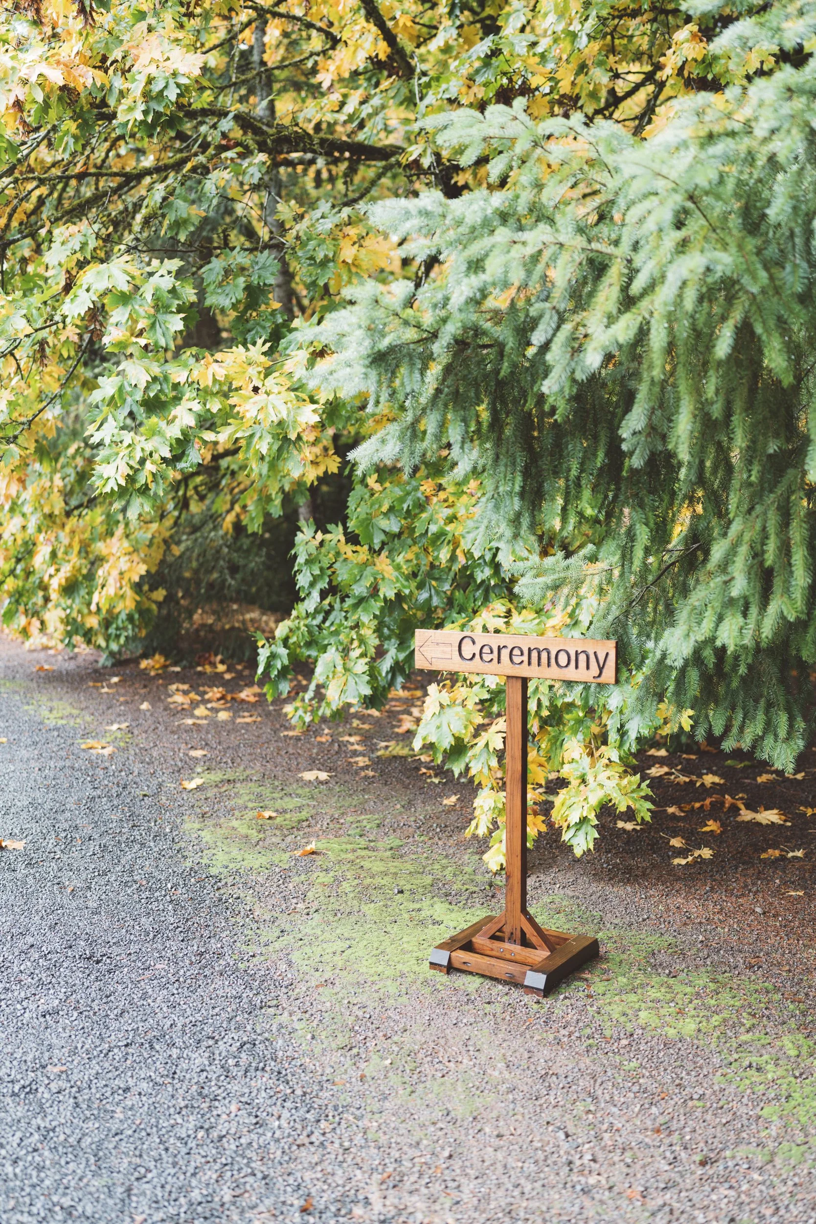 Wooden sign pointing left with the word 'Ceremony' in front of a background of green and yellow autumnal trees and gravel path.