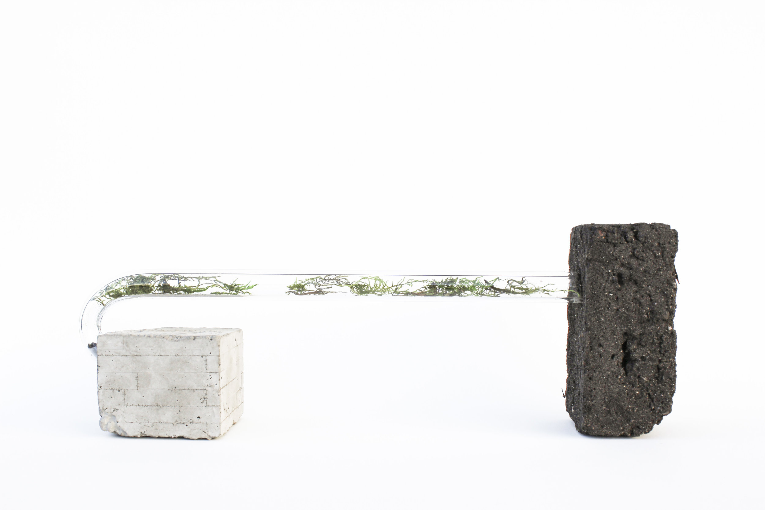 BIOTICS NO. 5 Mixed-media, 2018 14 X 5 X 3 in.