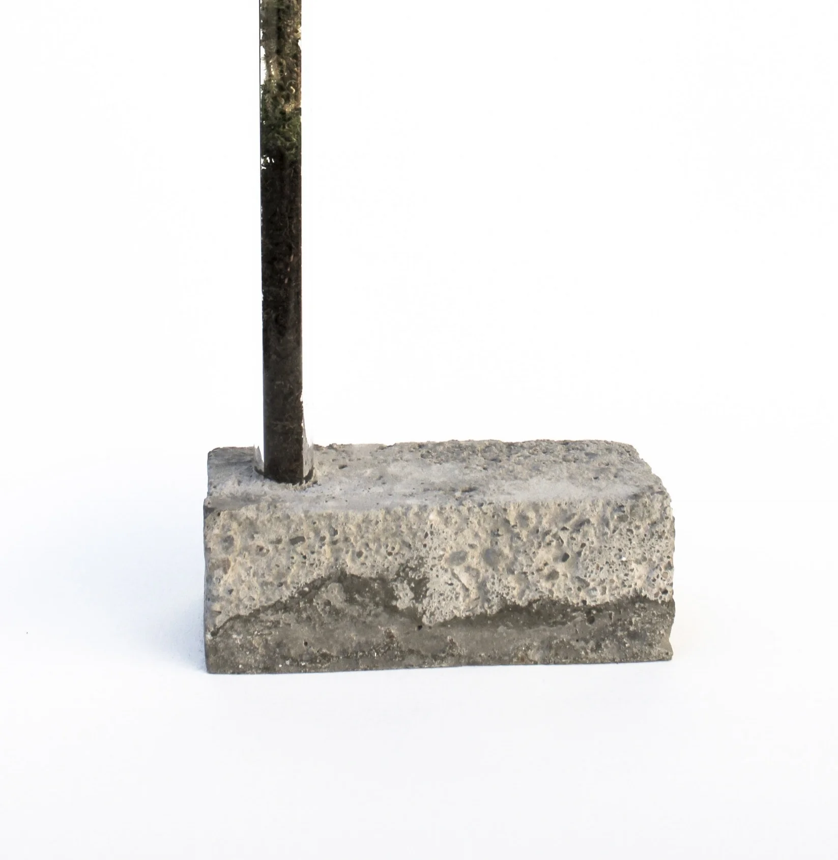 BIOTICS No. 6 Mixed-media, 2018 17 x 6 x 3 in.