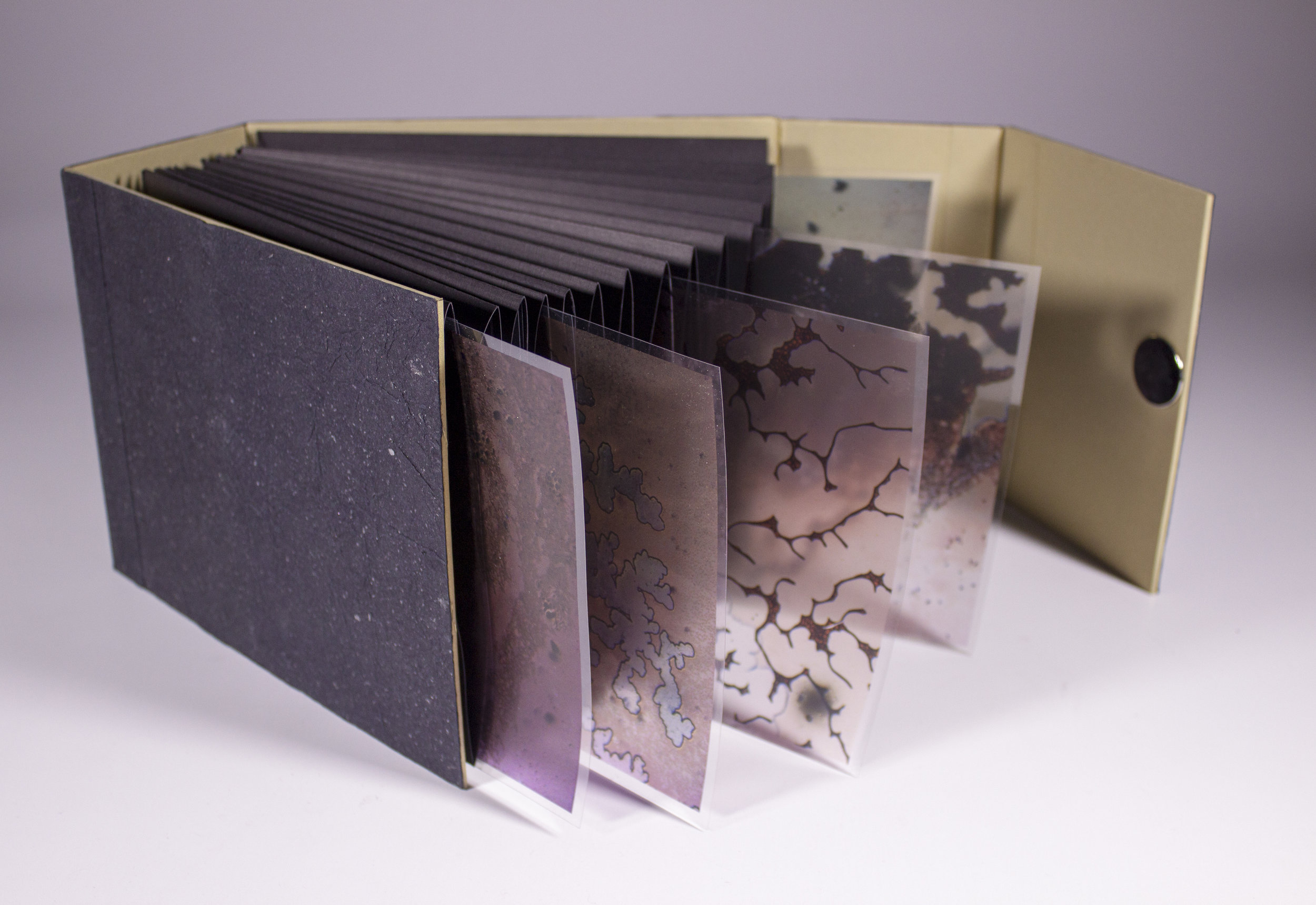 Internal Landscapes 5.jpg