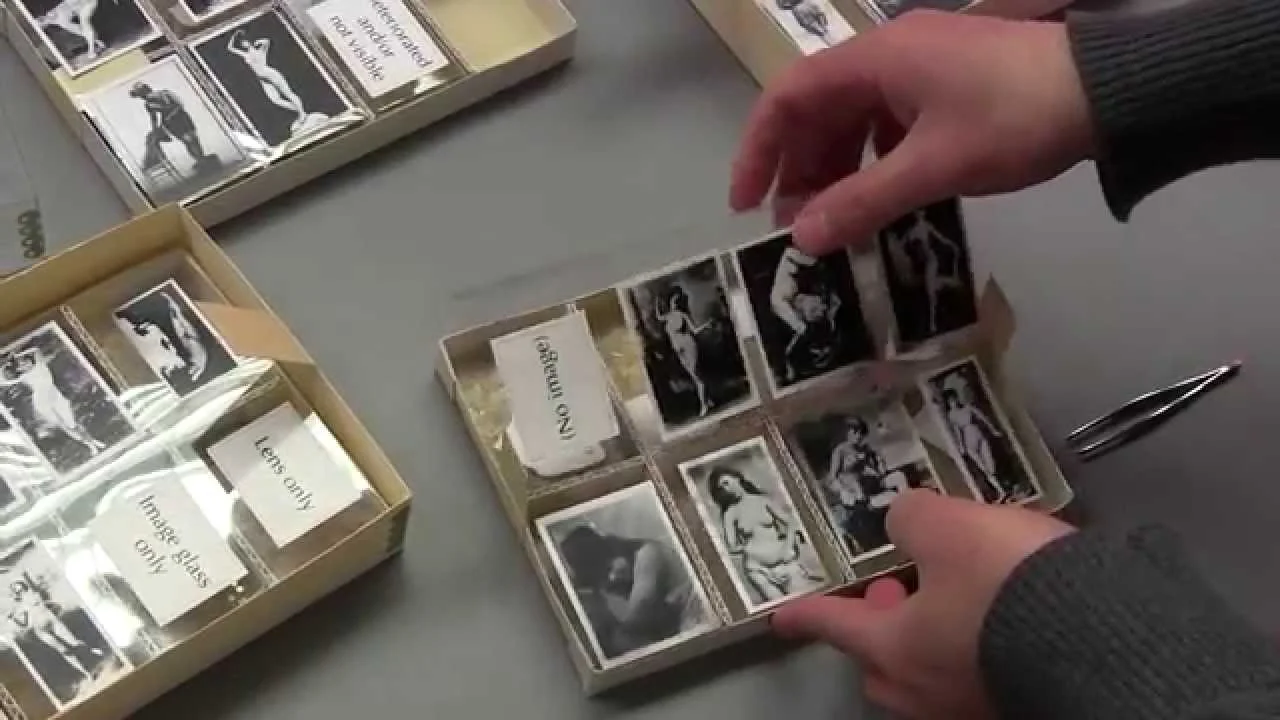 Stanhope Collection,The Kinsey Institute for Research in Gender, Sex and Reproduction